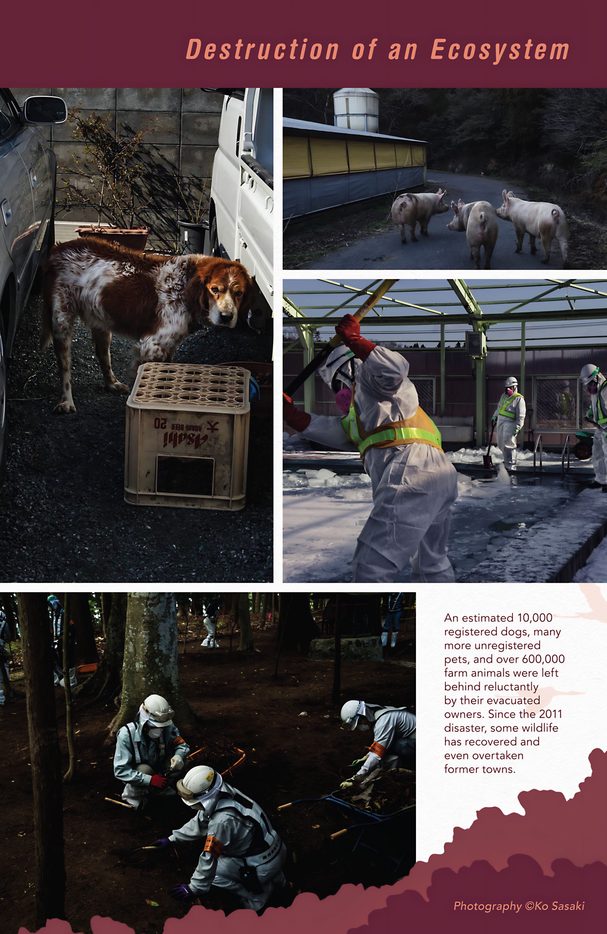 Read online Guardian of Fukushima comic -  Issue # TPB - 137
