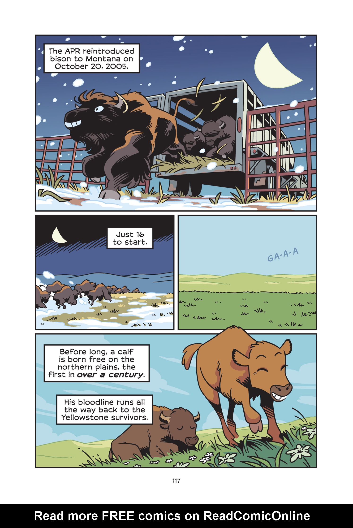 Read online History Comics comic -  Issue # The American Bison - The Buffalos Survival Tale - 123