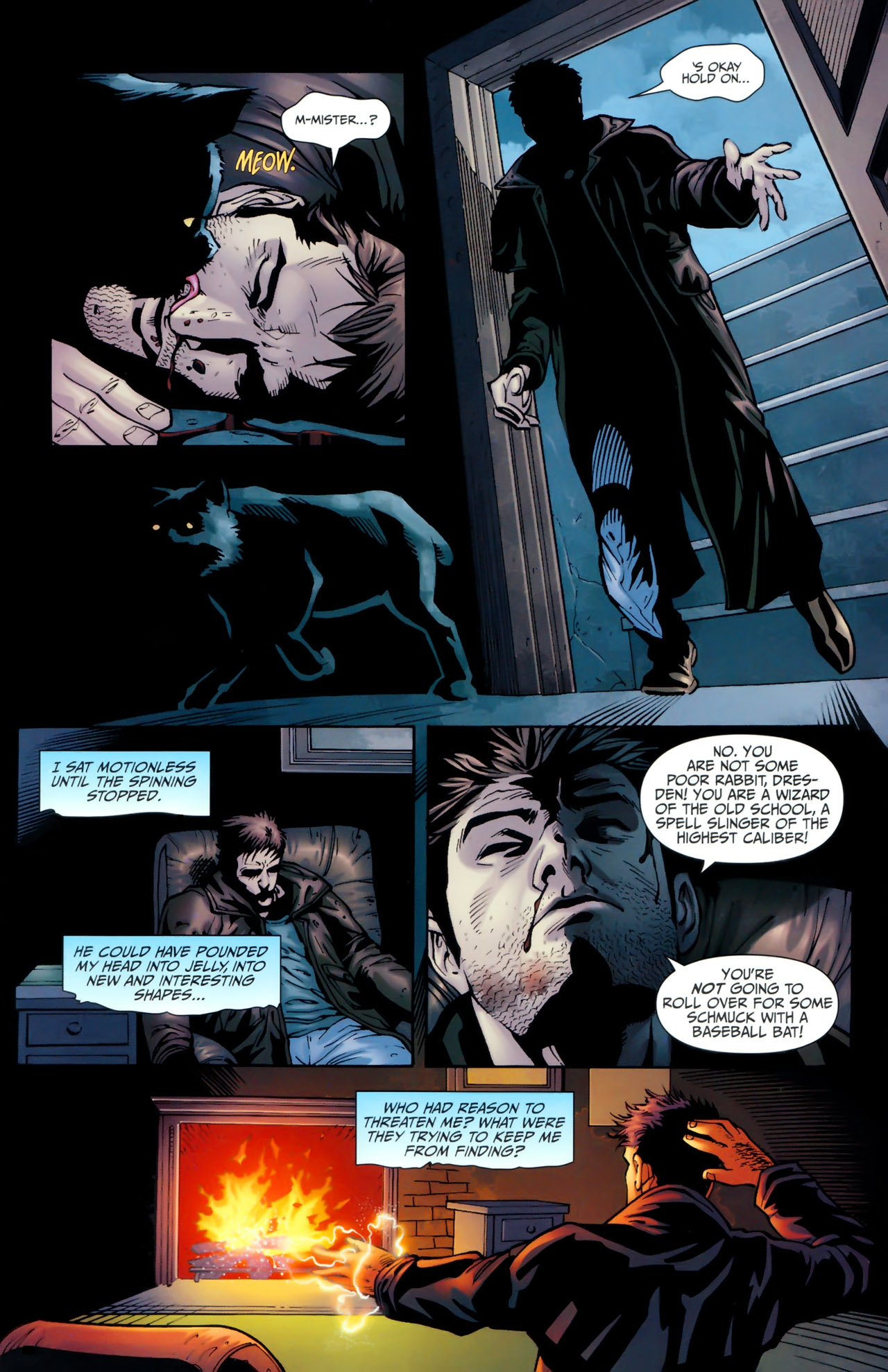 Read online Jim Butcher's The Dresden Files: Storm Front comic -  Issue #3 - 12