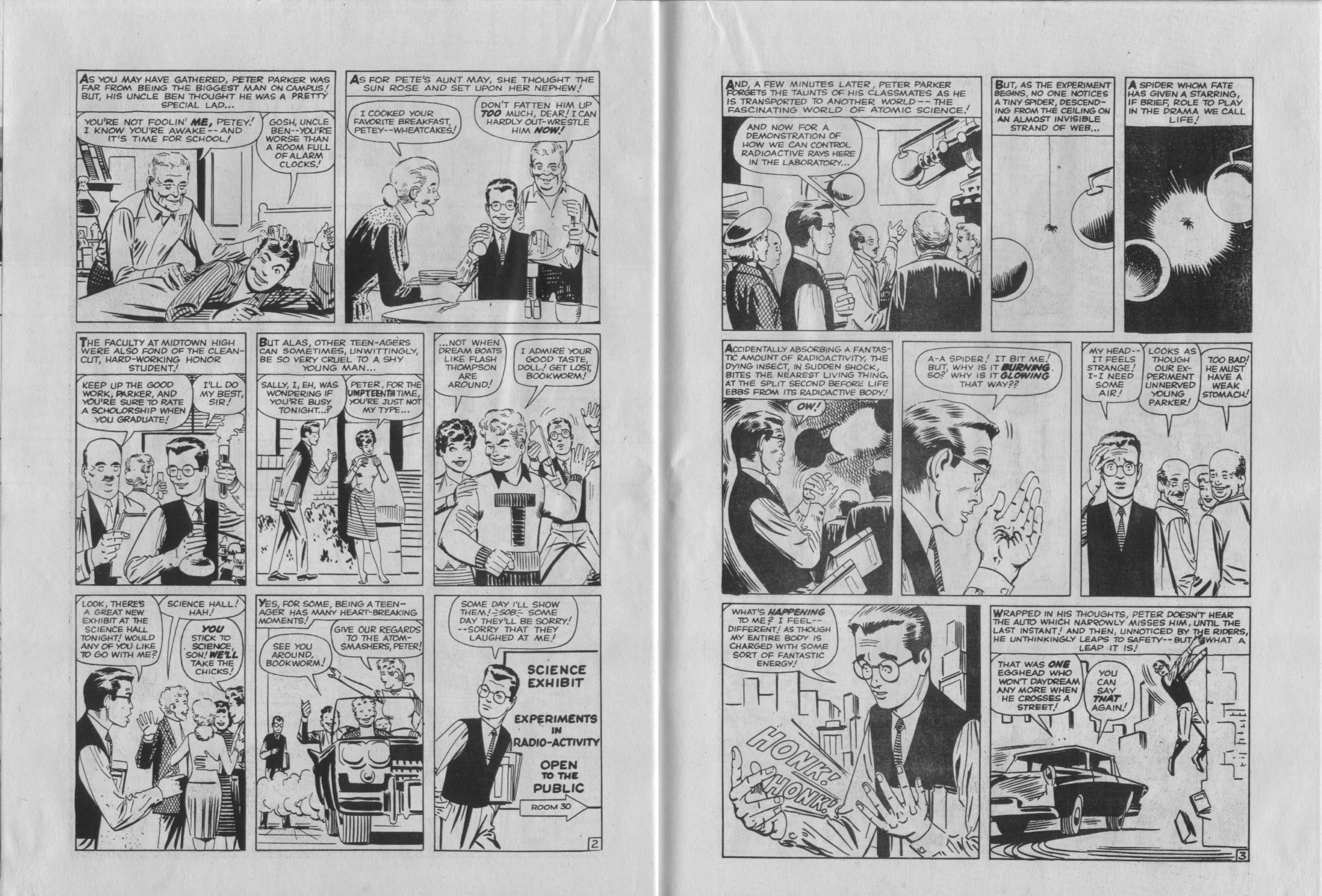 Read online Spider-Man Special comic -  Issue #1979S - 19