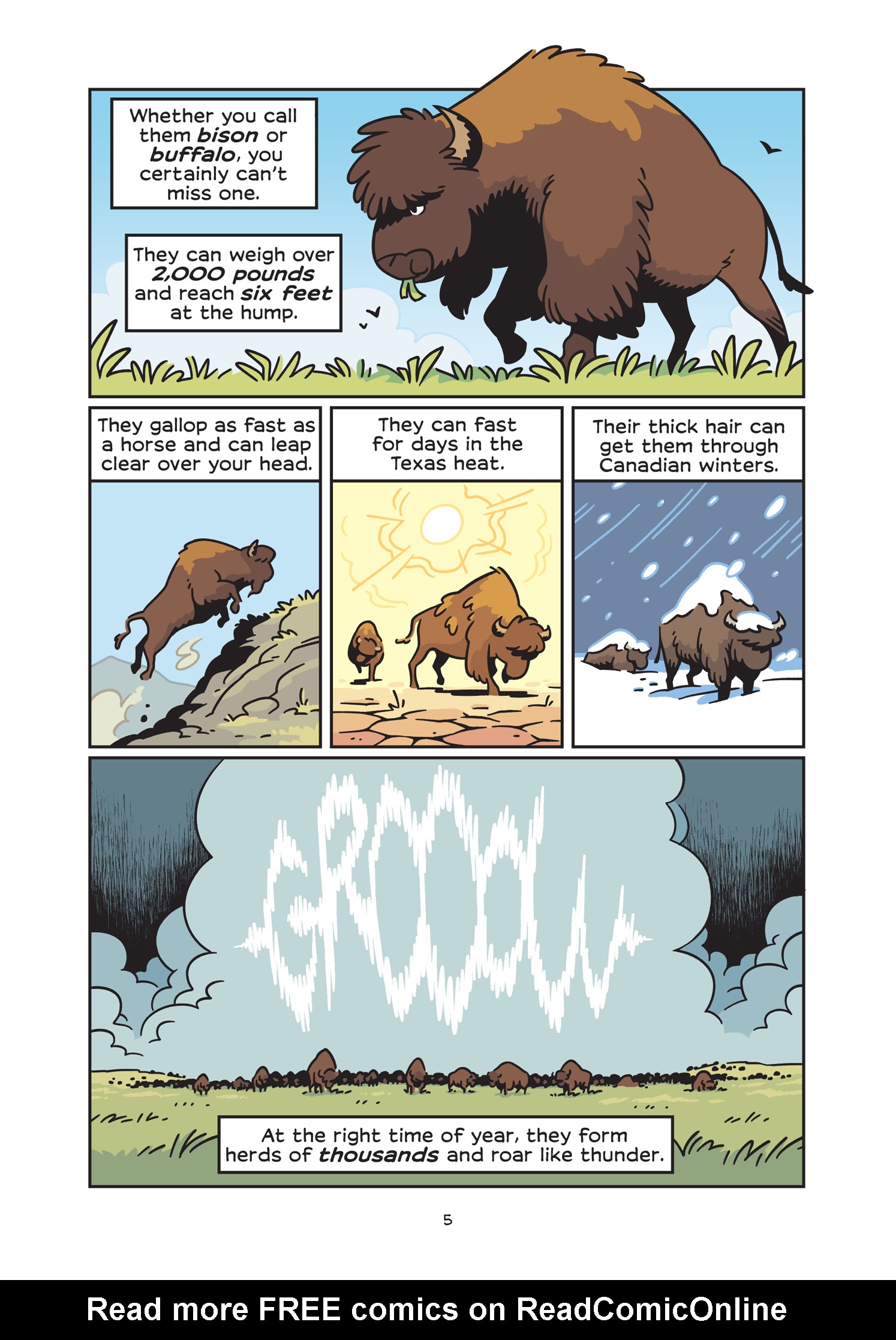 Read online History Comics comic -  Issue # The American Bison - The Buffalos Survival Tale - 11