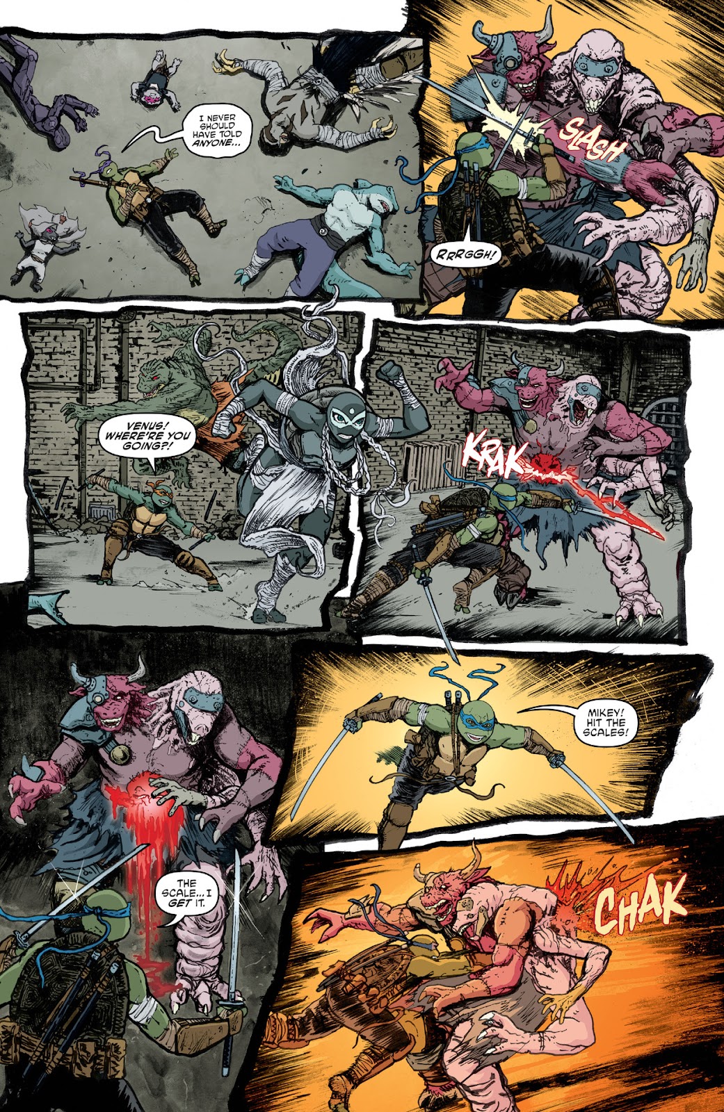 Teenage Mutant Ninja Turtles (2011) issue 143 - Page 19