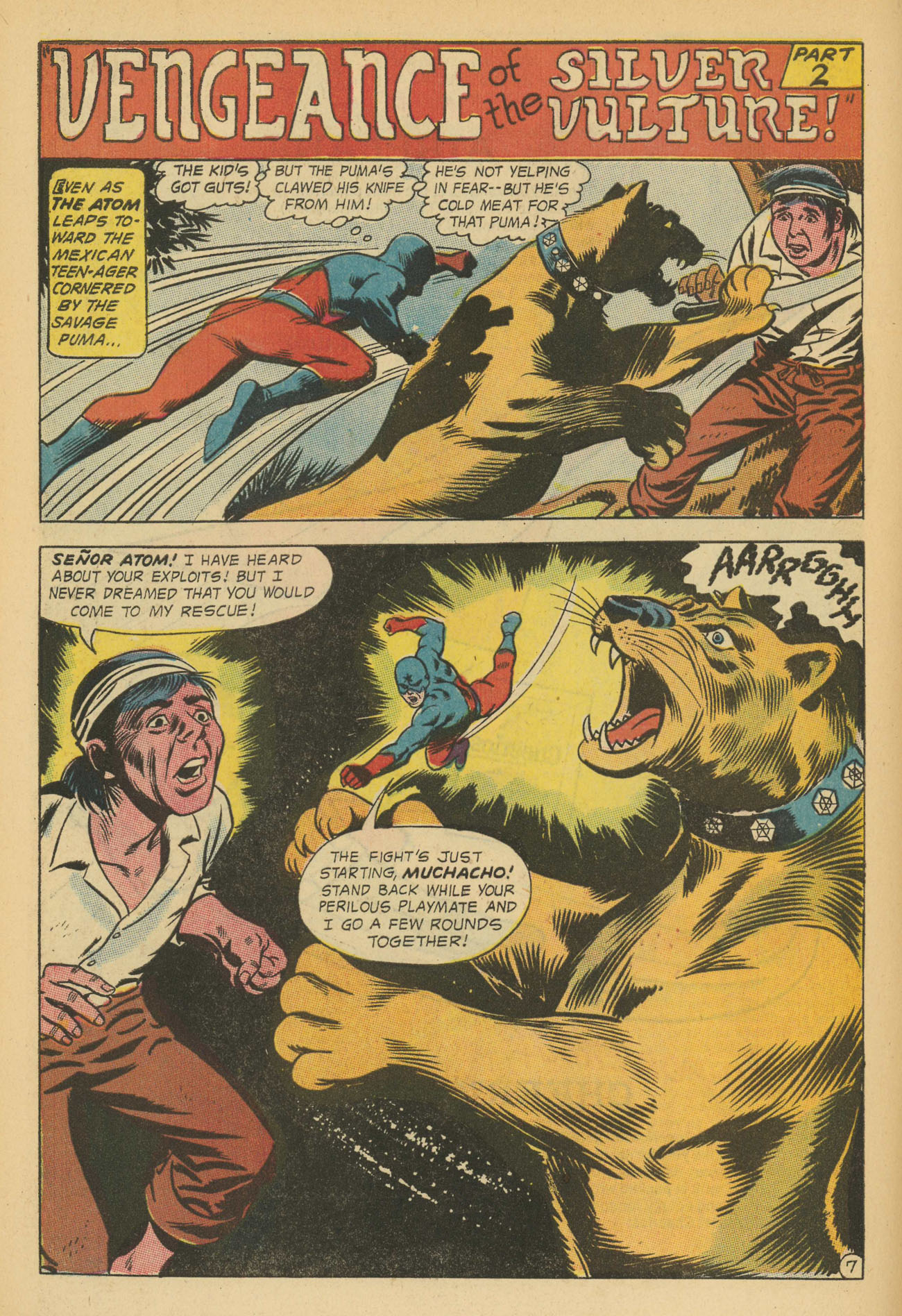 Read online The Atom and Hawkman comic -  Issue #39 - 11