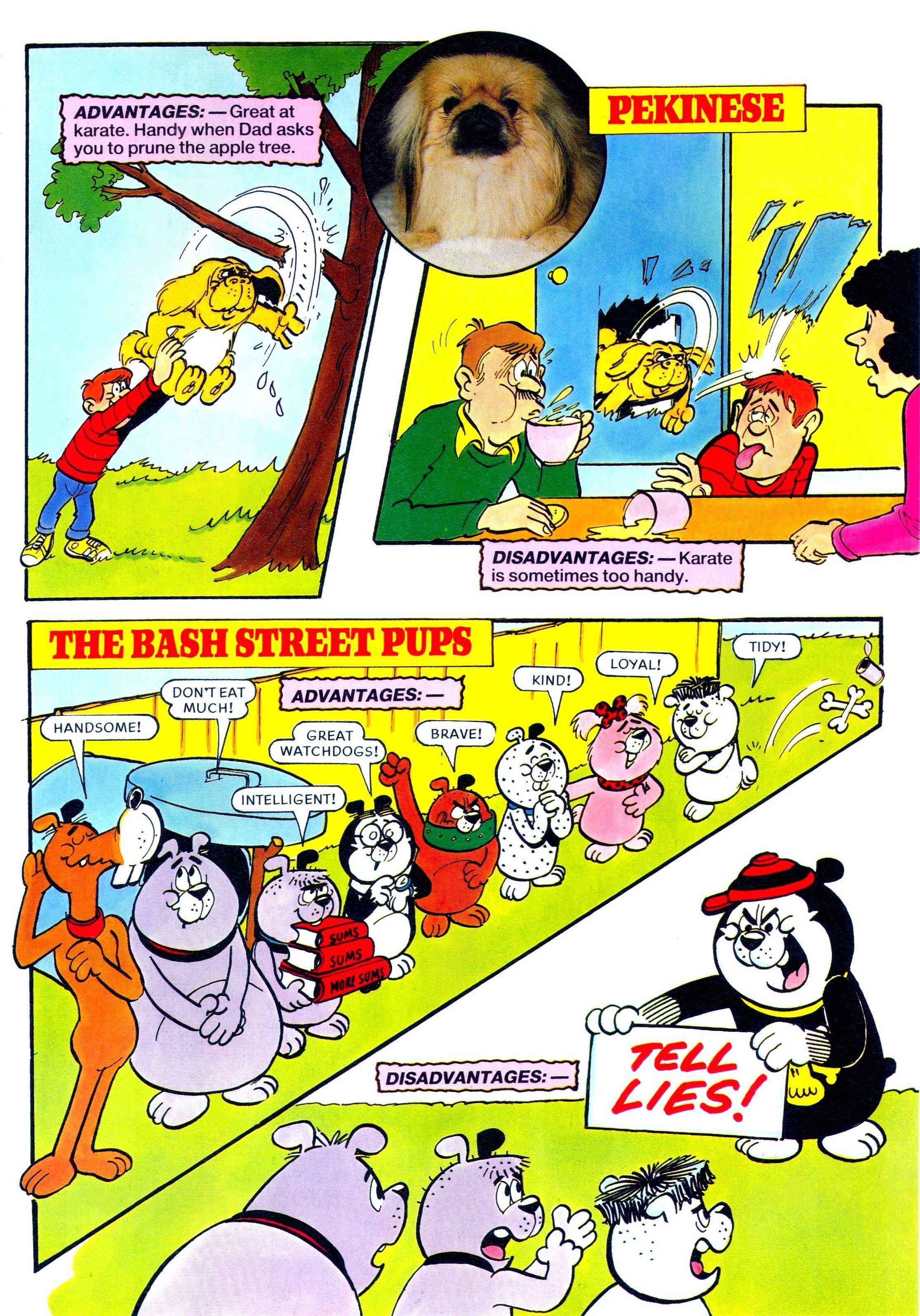 Read online Bash Street Kids comic -  Issue #1994 - 25