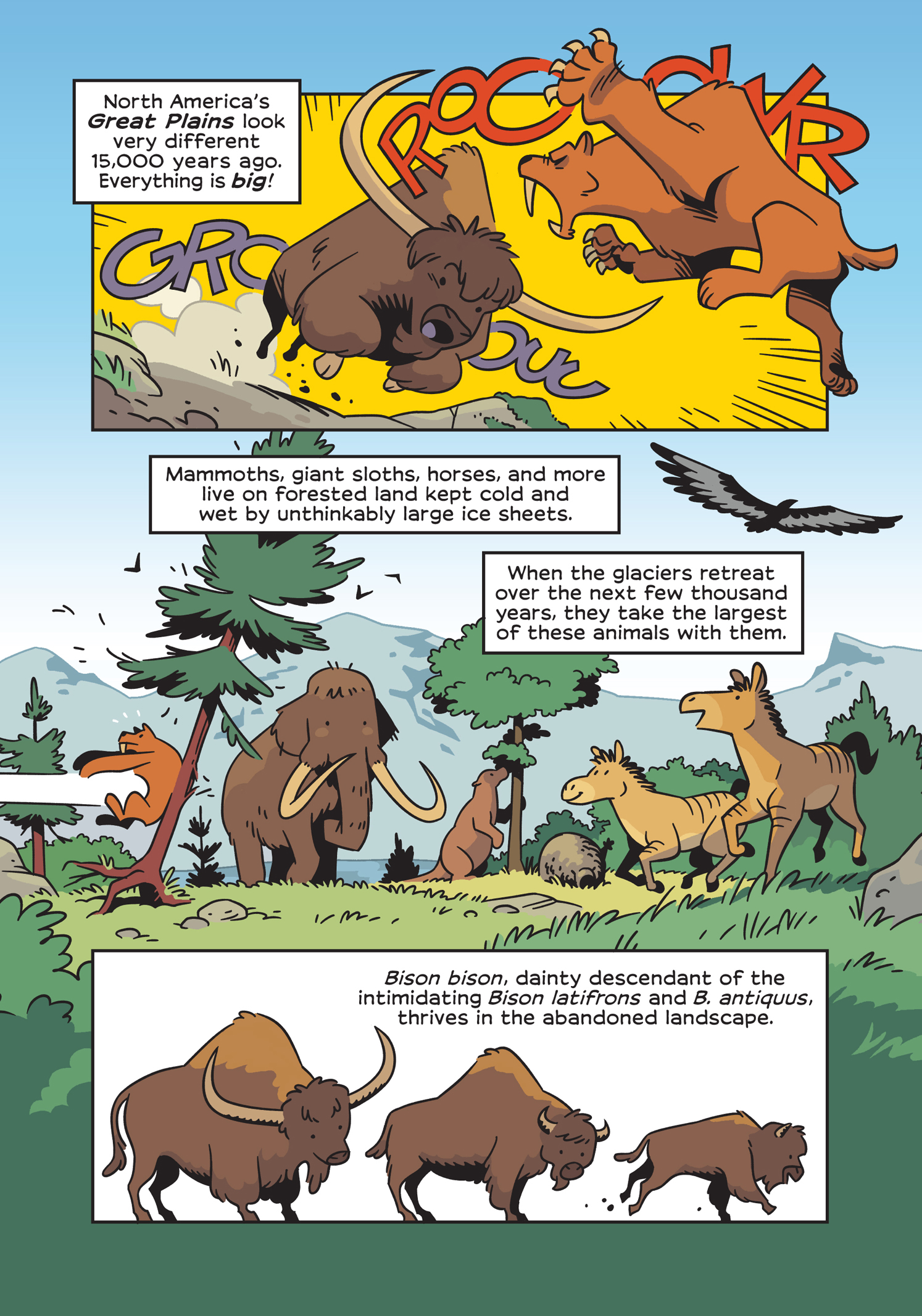 Read online History Comics comic -  Issue # The American Bison - The Buffalos Survival Tale - 10