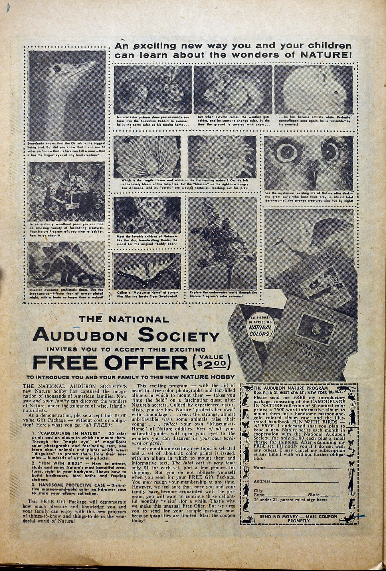 Read online Strange Journey comic -  Issue #3 - 24