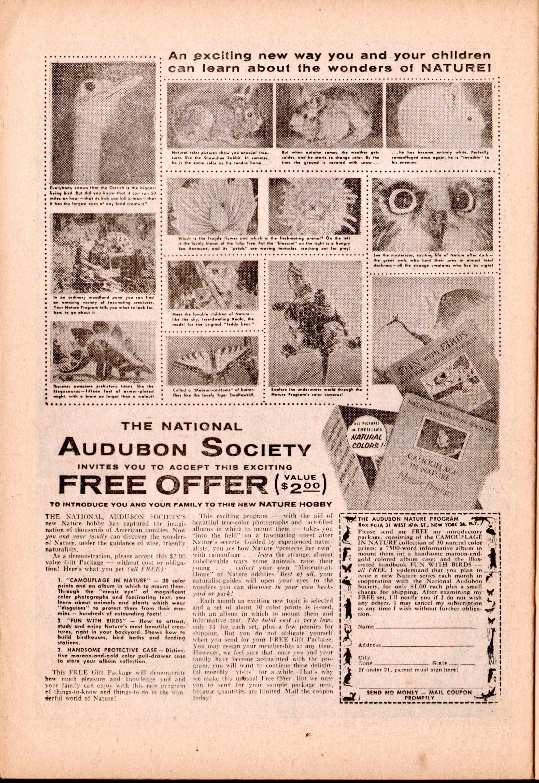 Read online Men in Action (1957) comic -  Issue #5 - 24