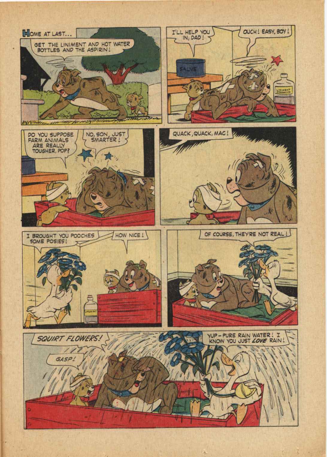 Read online M.G.M's Spike and Tyke comic -  Issue #20 - 23