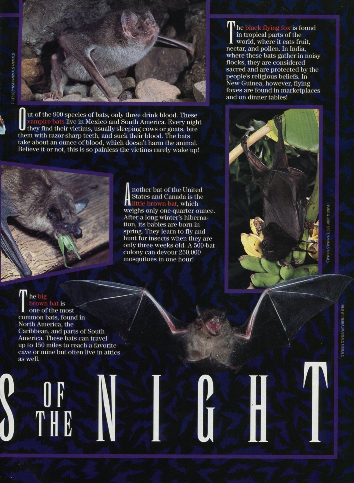 Read online Superman & Batman Magazine comic -  Issue #6 - 16