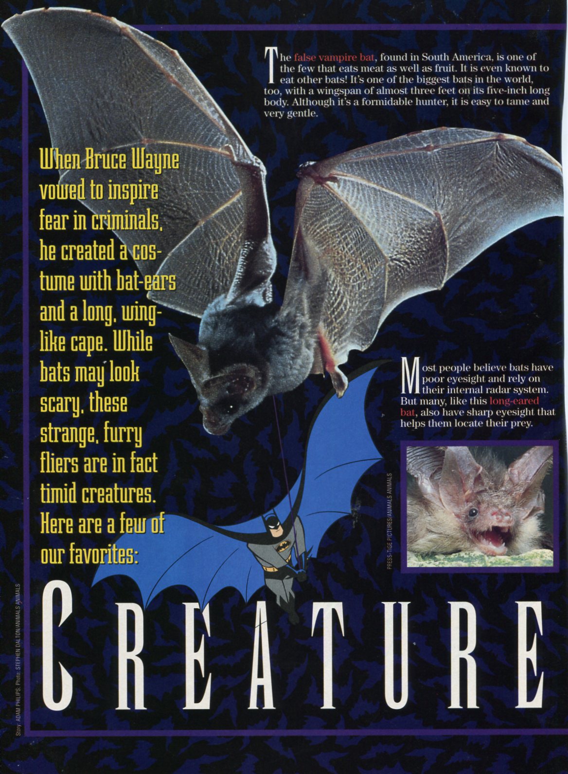 Read online Superman & Batman Magazine comic -  Issue #6 - 15