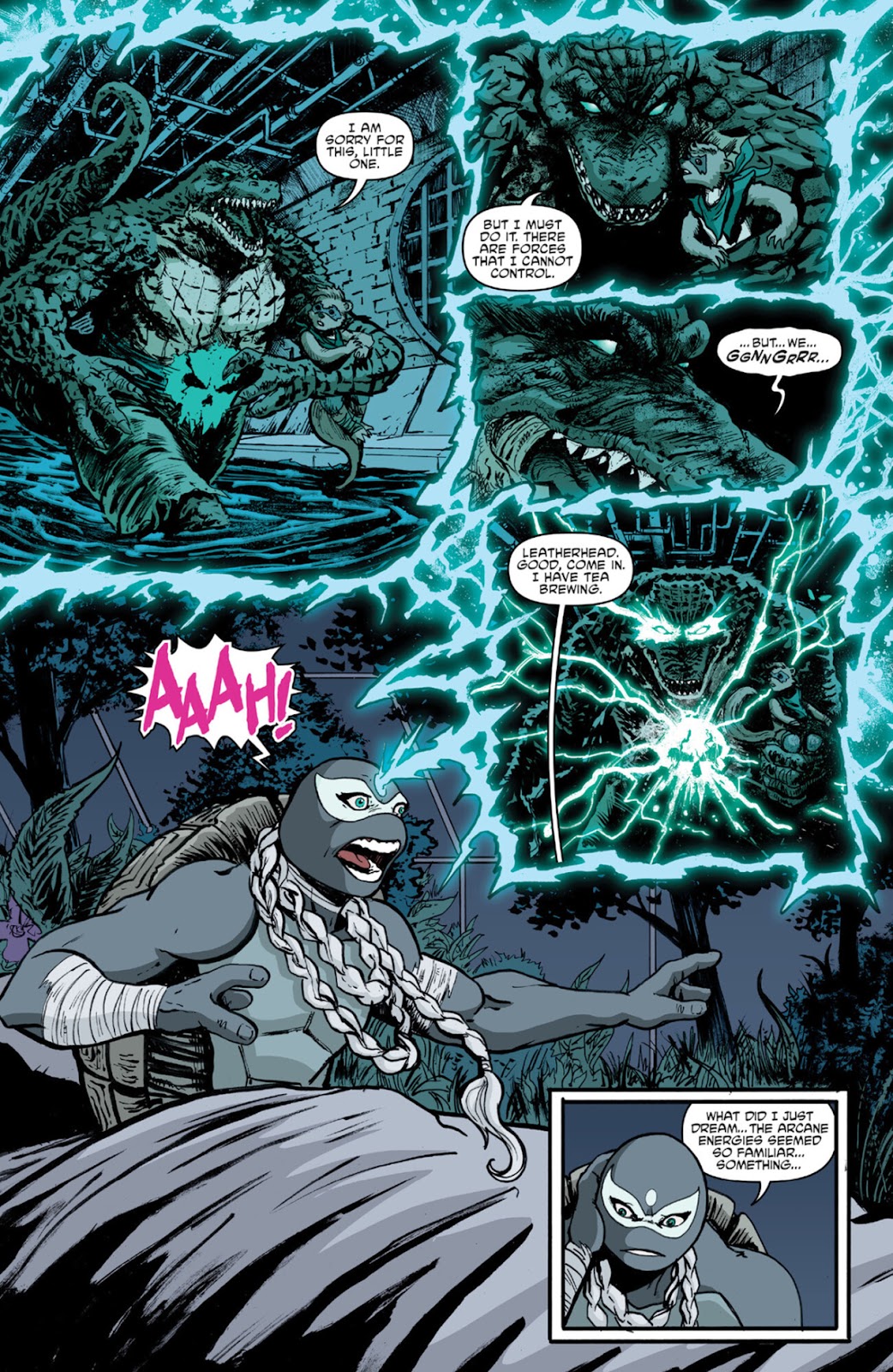 Teenage Mutant Ninja Turtles (2011) issue 141 - Page 21