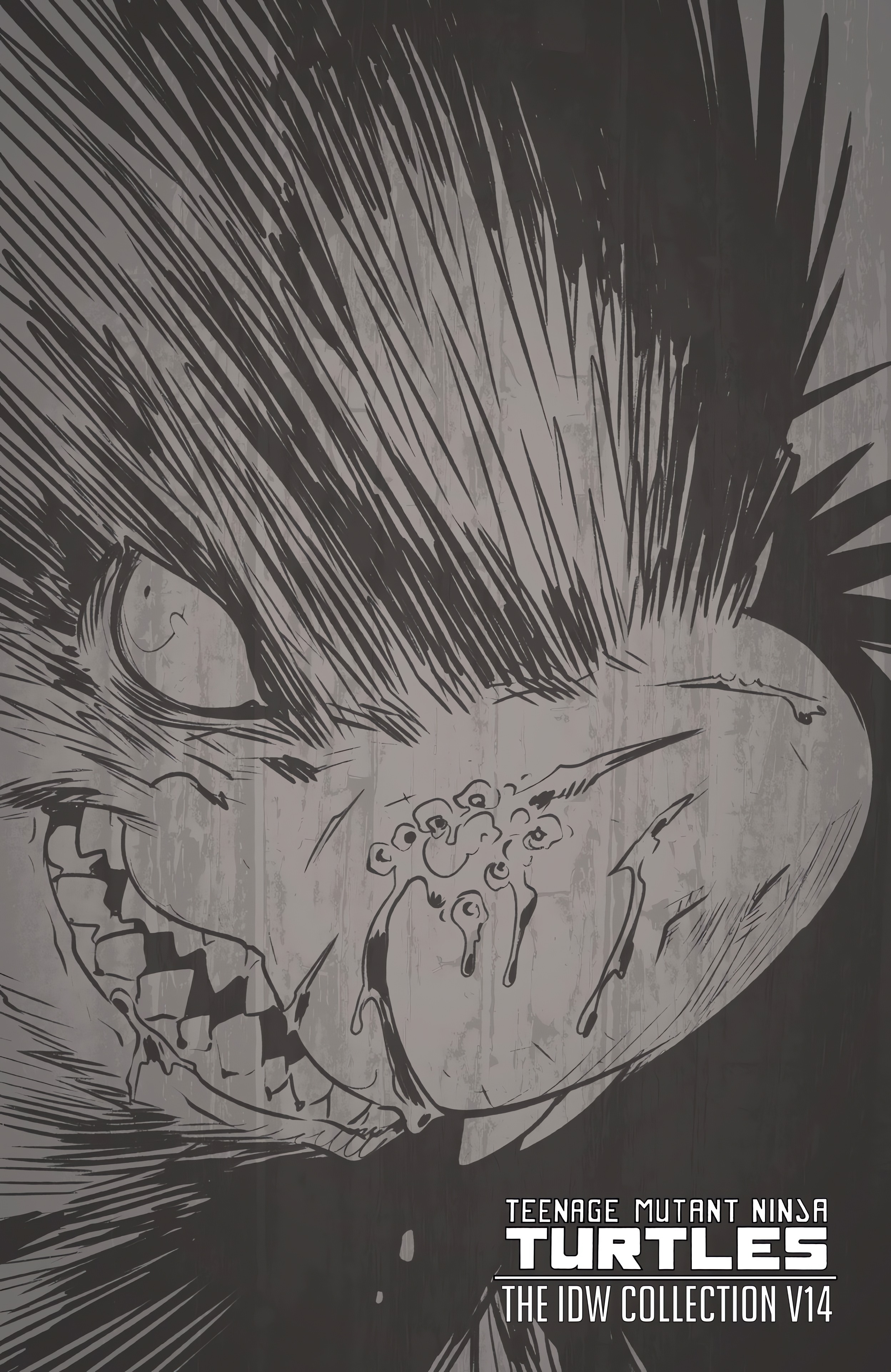 Read online Teenage Mutant Ninja Turtles: The IDW Collection comic -  Issue # TPB 14 (Part 1) - 3