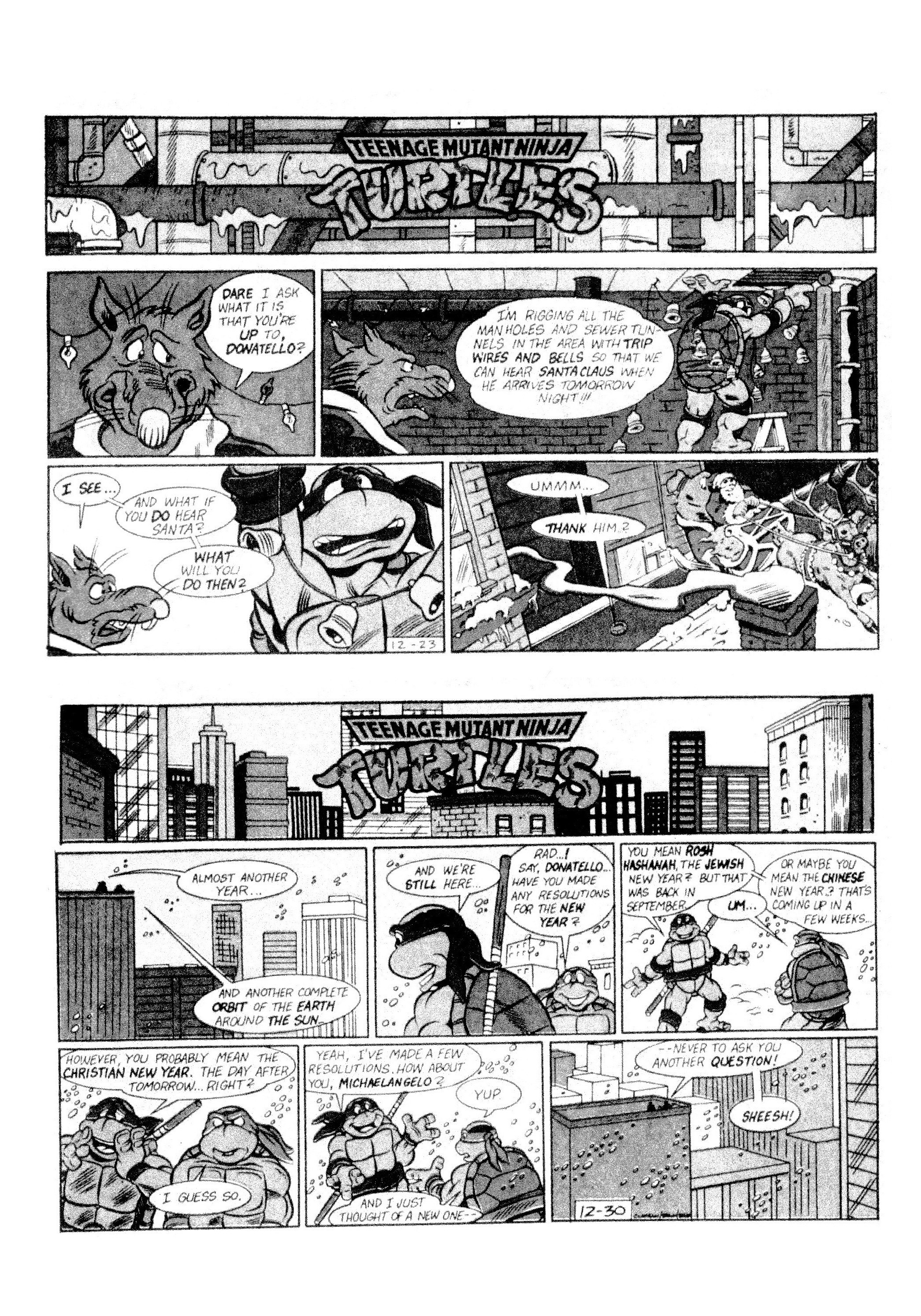 Read online Teenage Mutant Ninja Turtles: Complete Newspaper Daily Comic Strip Collection comic -  Issue # TPB 2 (Part 1) - 12