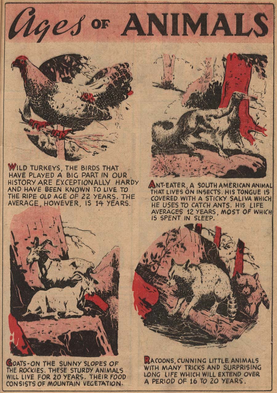 Read online Blue Ribbon Comics (1939) comic -  Issue #1 - 41