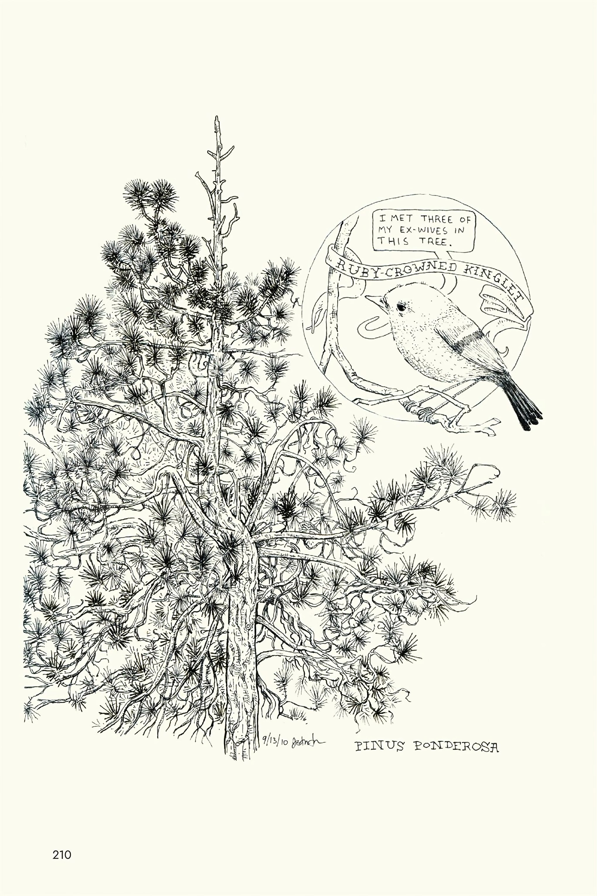 Read online Gnartoons comic -  Issue # TPB (Part 3) - 11