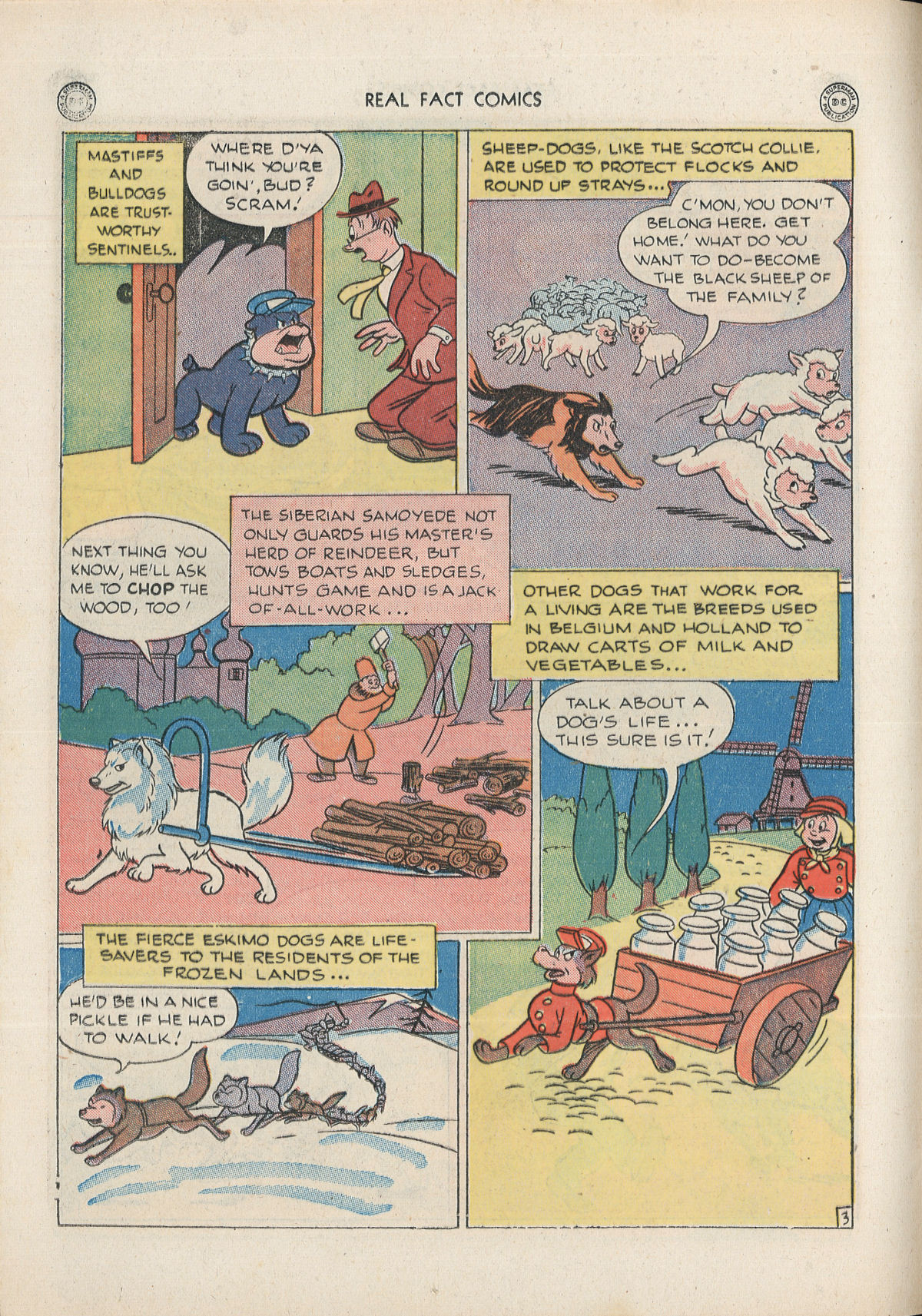 Read online Real Fact Comics comic -  Issue #3 - 18