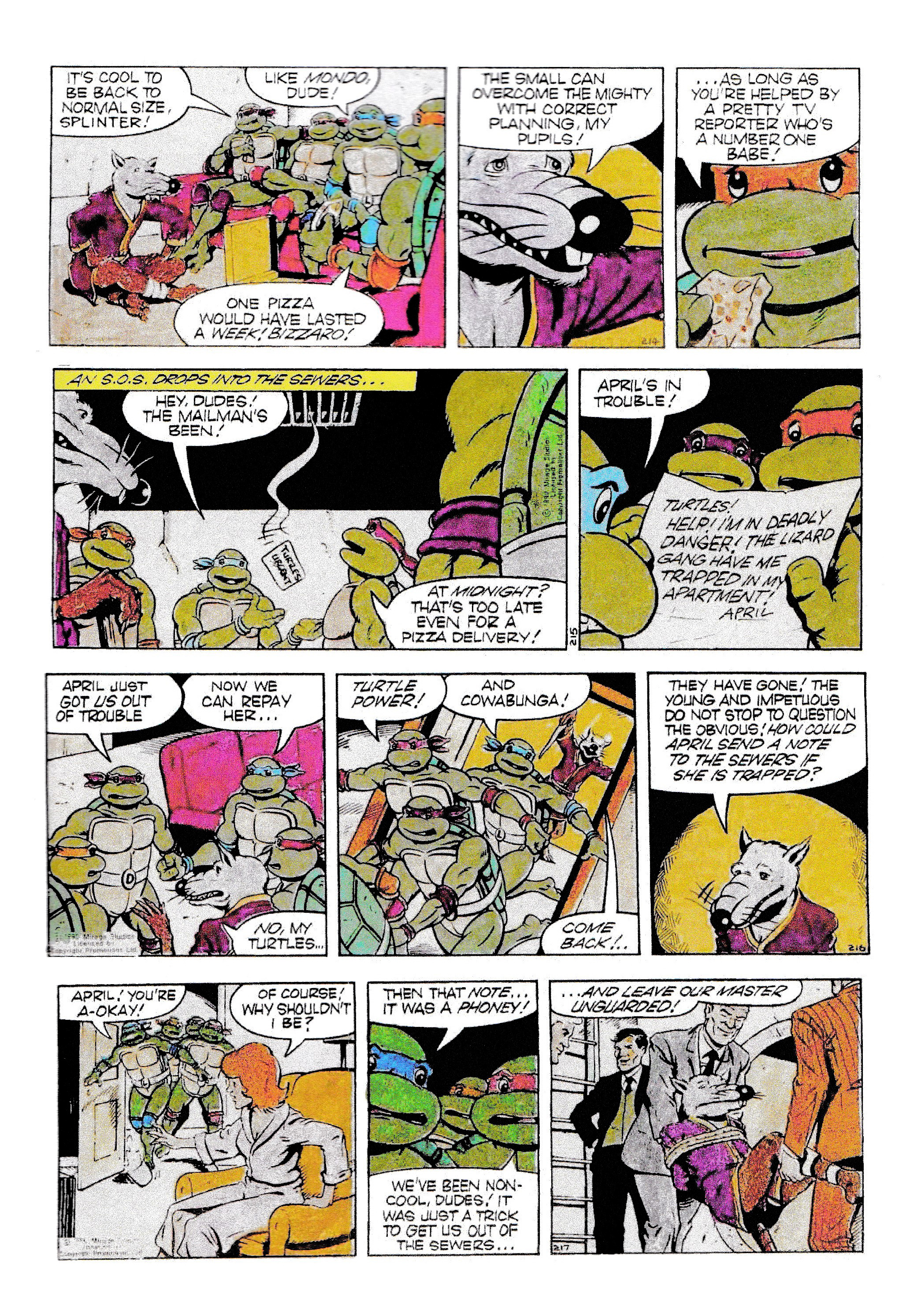 Read online Teenage Mutant Ninja Turtles: Complete Newspaper Daily Comic Strip Collection comic -  Issue # TPB 1 - 62