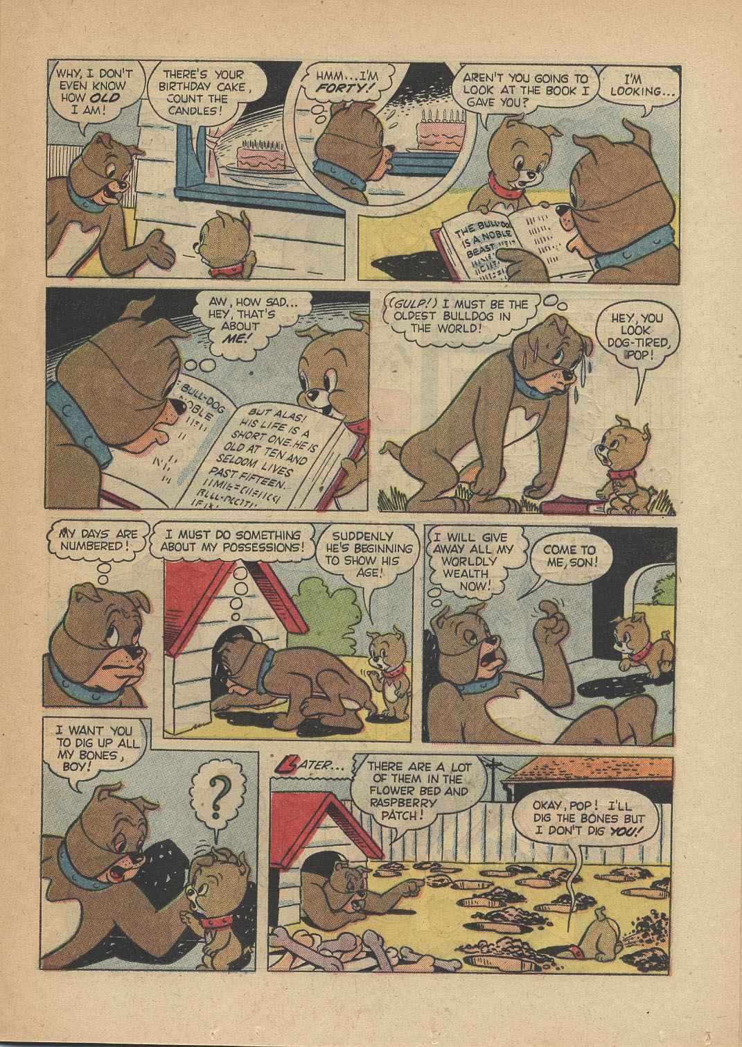 Read online M.G.M's Spike and Tyke comic -  Issue #9 - 13