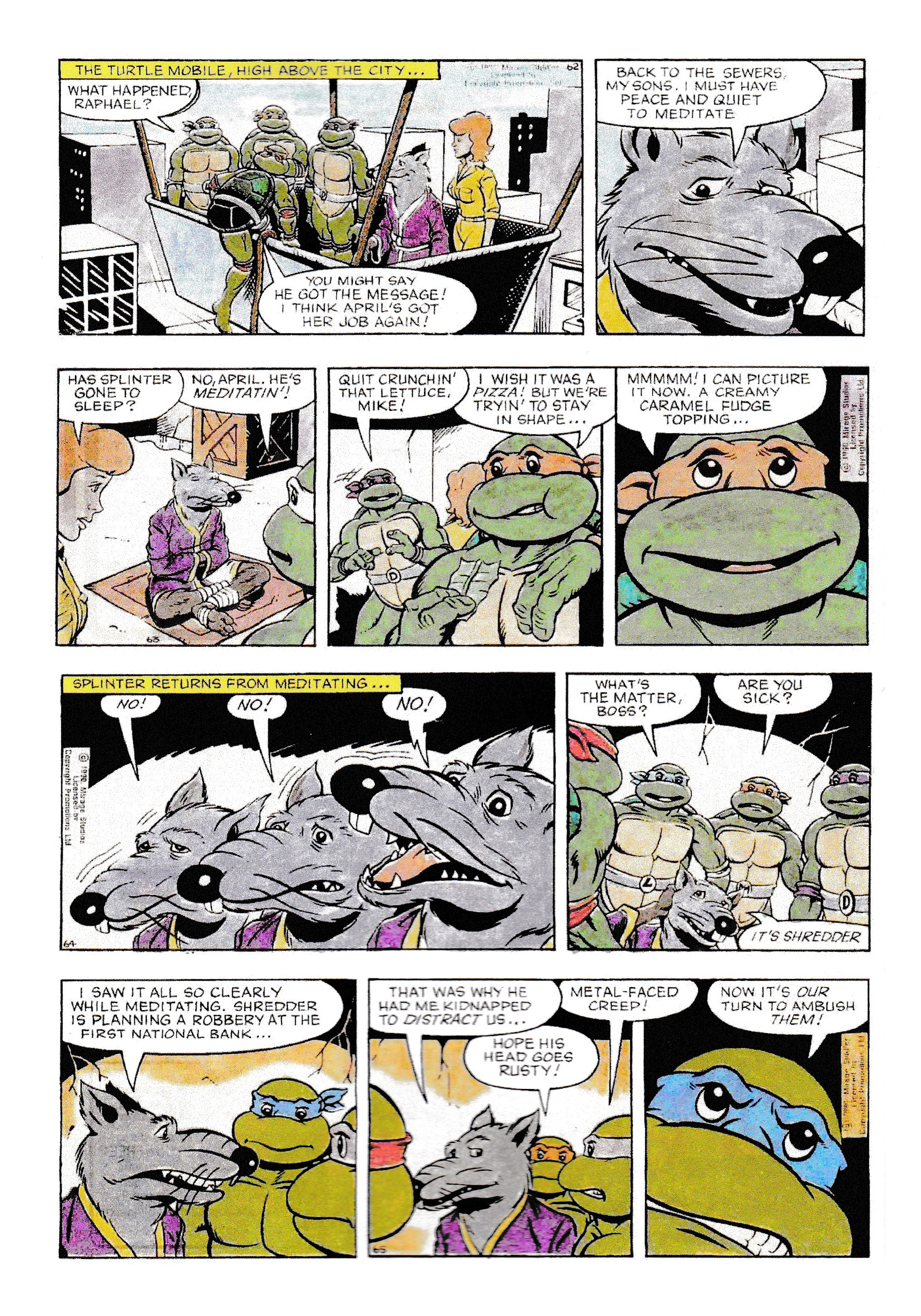 Read online Teenage Mutant Ninja Turtles: Complete Newspaper Daily Comic Strip Collection comic -  Issue # TPB 1 - 23