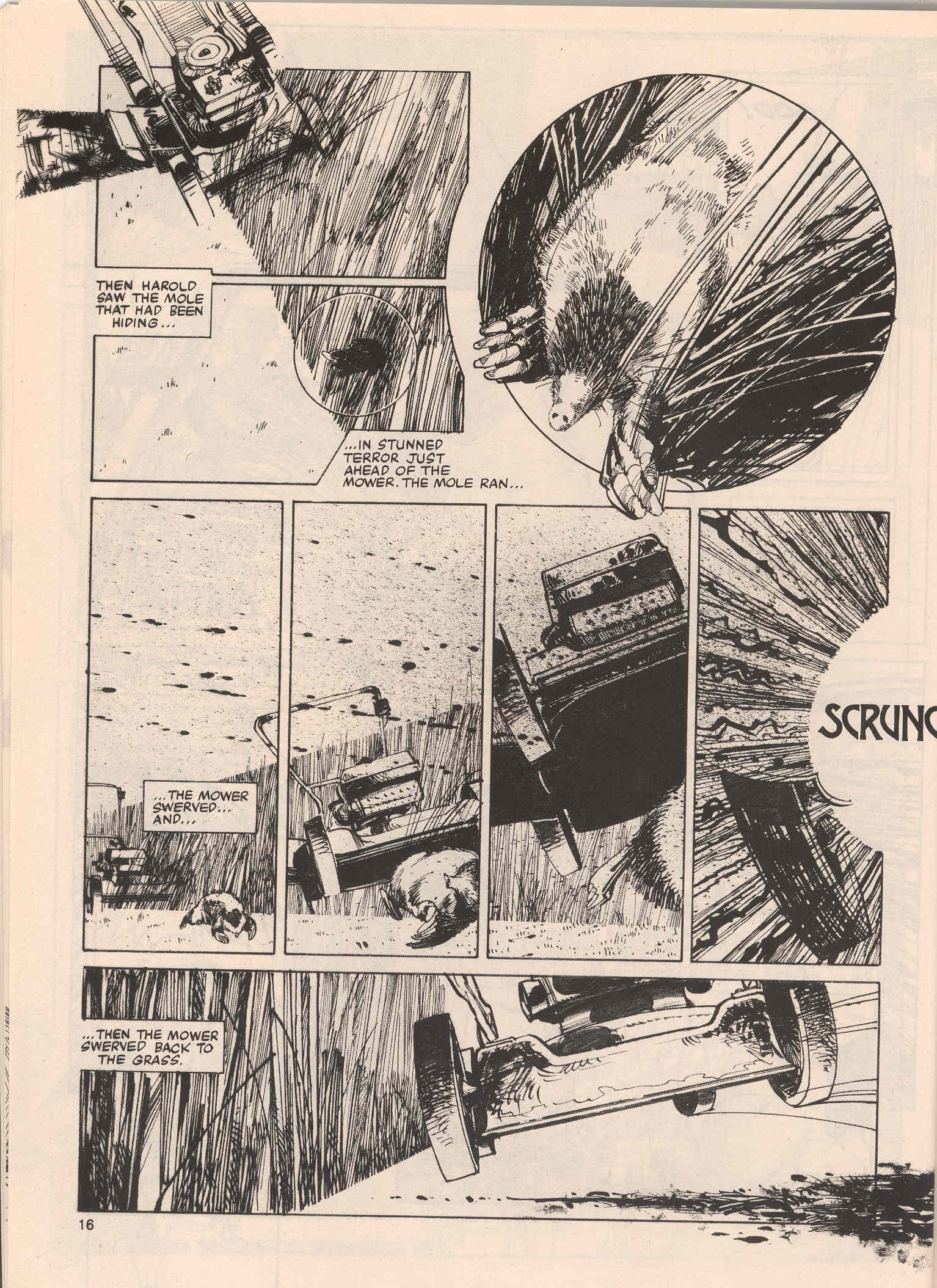 Read online Bizarre Adventures comic -  Issue #29 - 16
