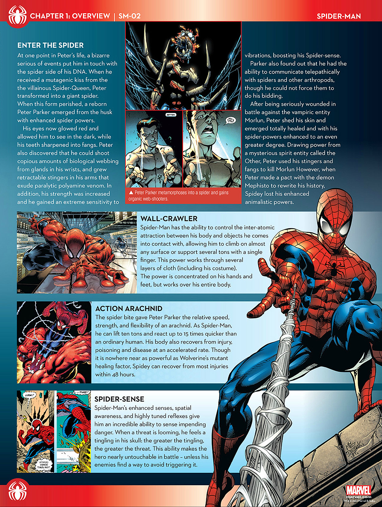 Read online Marvel Fact Files comic -  Issue #2 - 11