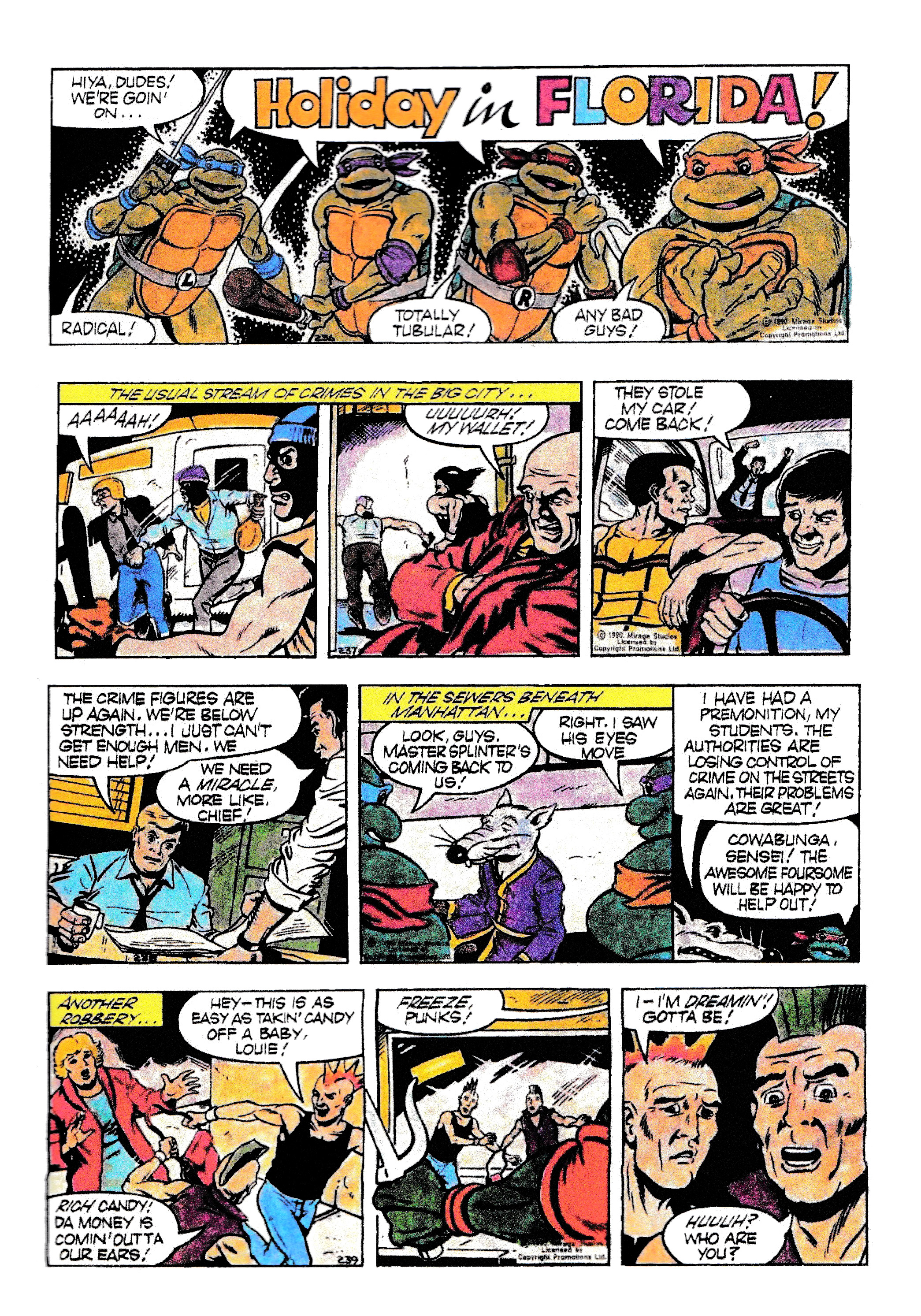 Read online Teenage Mutant Ninja Turtles: Complete Newspaper Daily Comic Strip Collection comic -  Issue # TPB 1 - 68