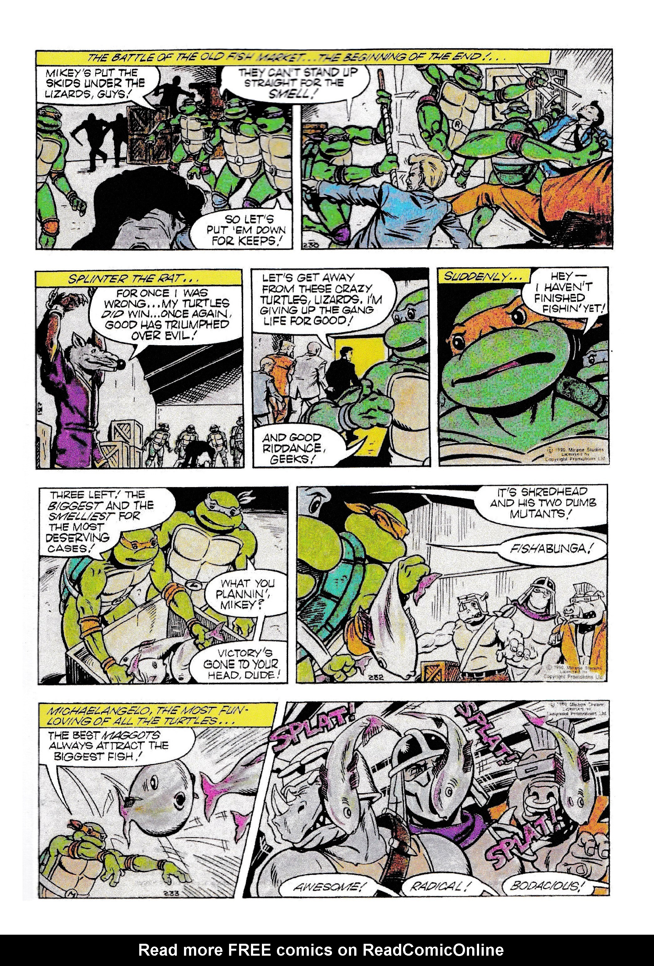 Read online Teenage Mutant Ninja Turtles: Complete Newspaper Daily Comic Strip Collection comic -  Issue # TPB 1 - 66