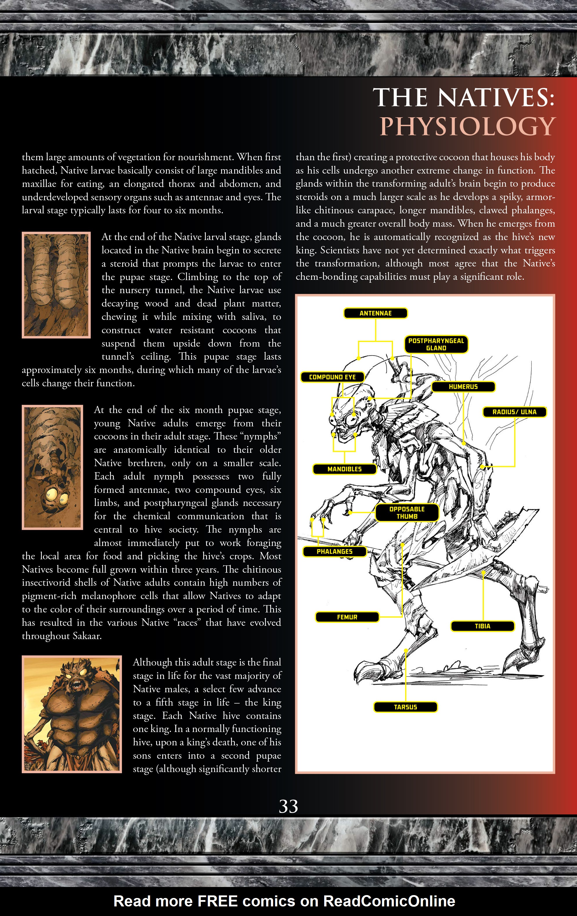Read online Planet Hulk: Gladiator Guidebook comic -  Issue # Full - 32