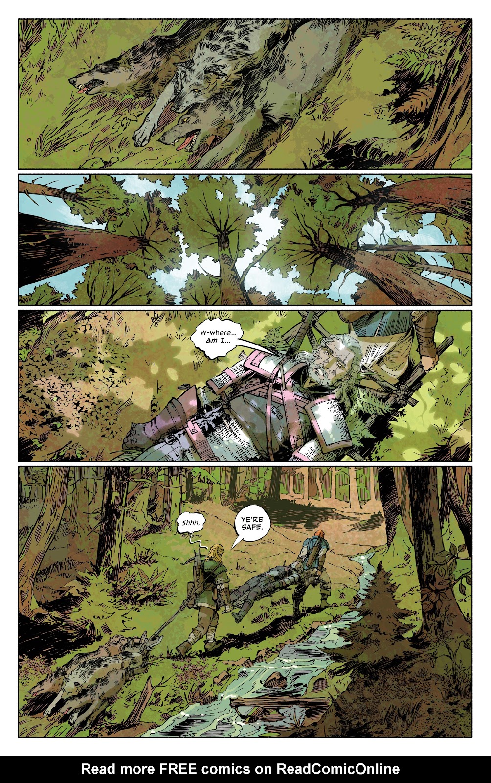 The Witcher: Wild Animals issue 1 - Page 16