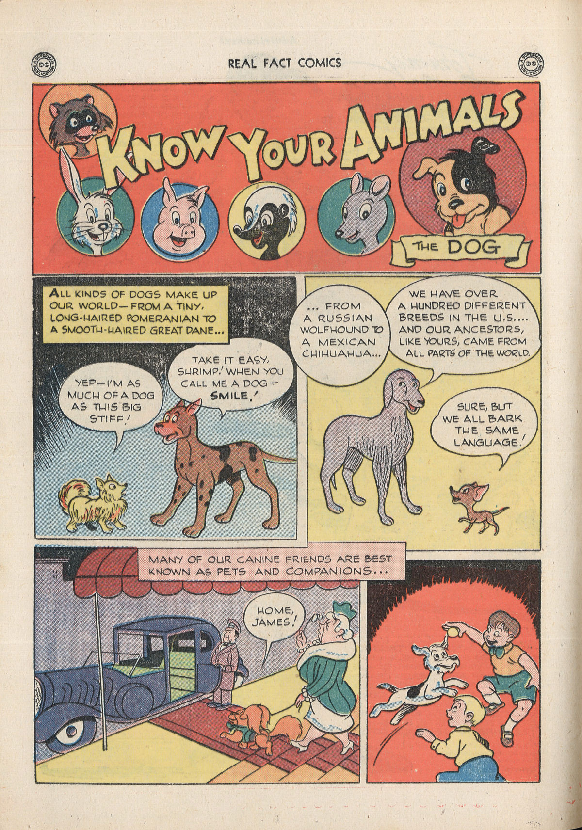 Read online Real Fact Comics comic -  Issue #3 - 16