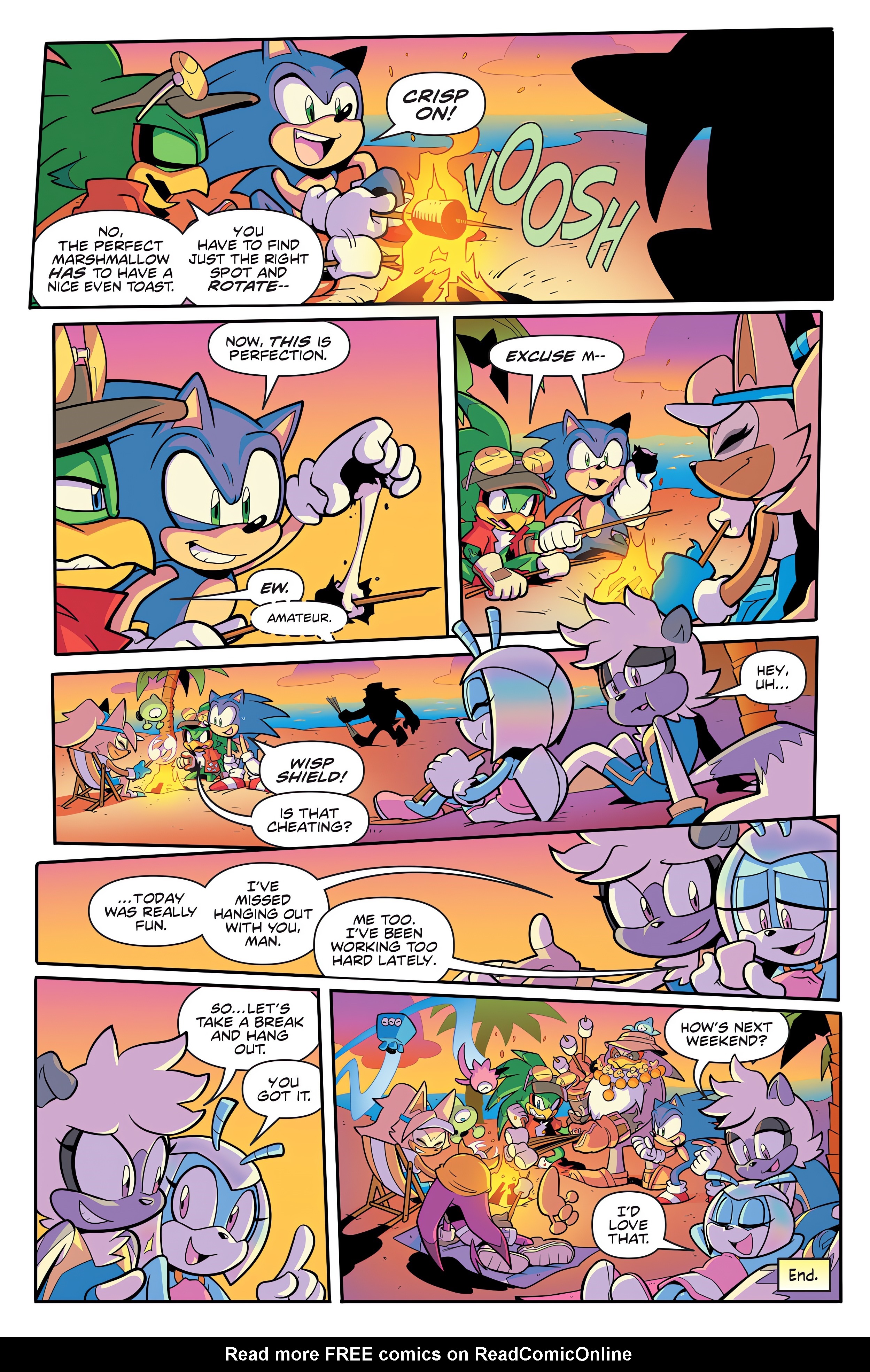 Read online IDW Endless Summer Sonic the Hedgehog comic -  Issue # Full - 24