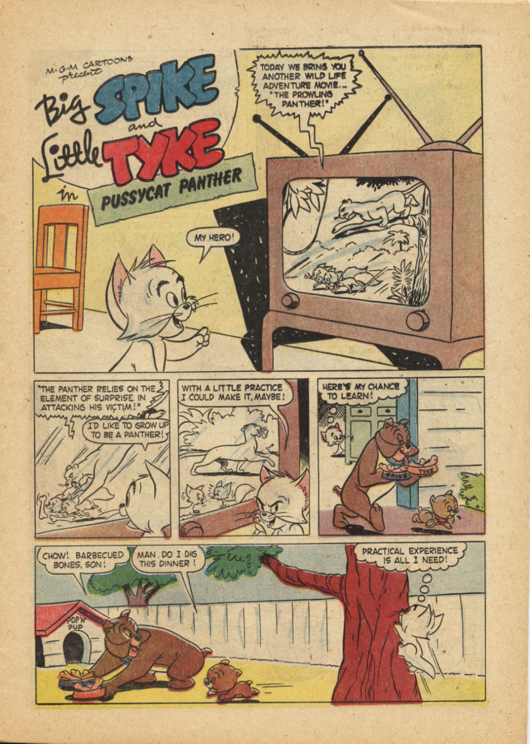 Read online M.G.M's Spike and Tyke comic -  Issue #17 - 11