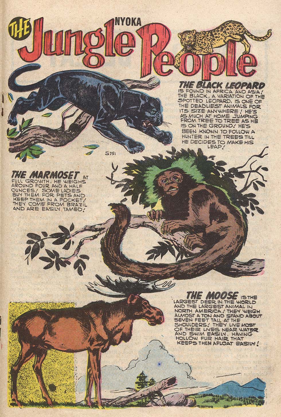 Read online Nyoka the Jungle Girl (1955) comic -  Issue #21 - 19