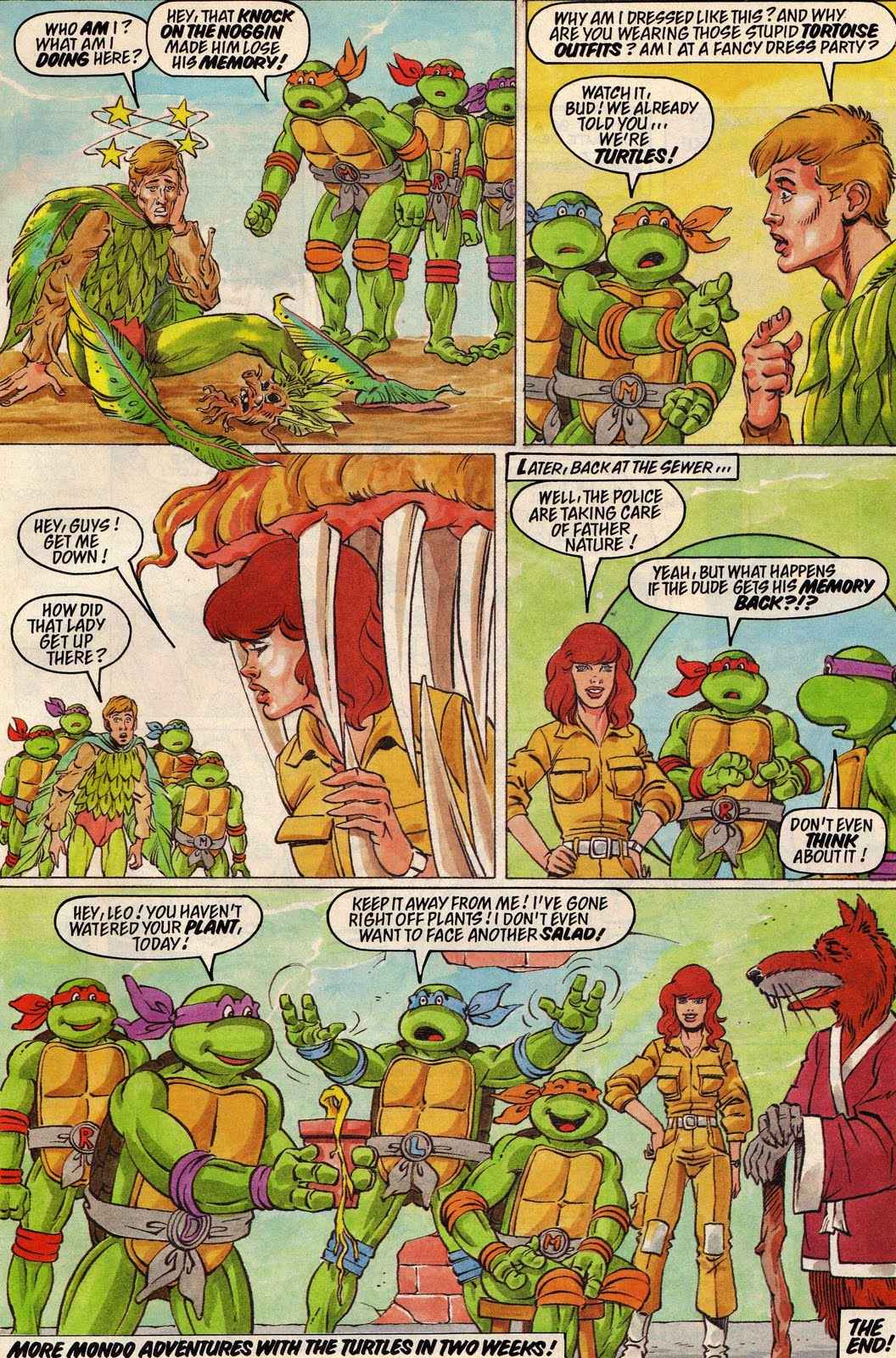 Read online Teenage Mutant Hero Turtles Adventures comic -  Issue #21 - 27