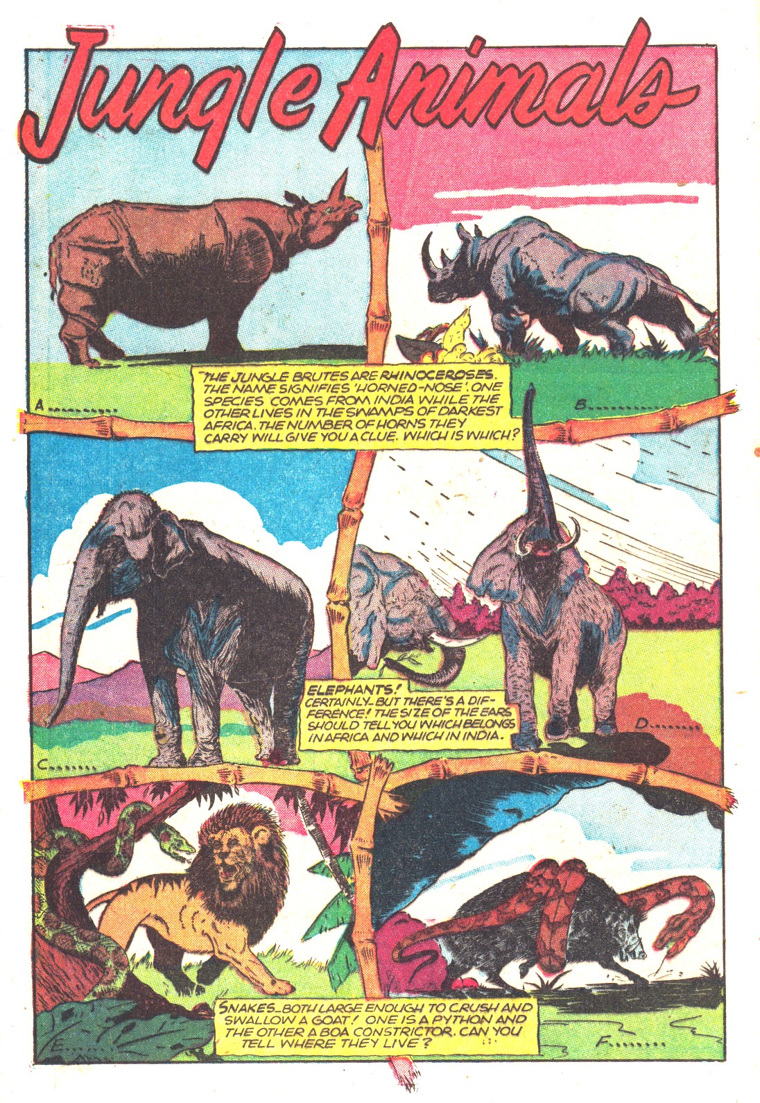 Read online Wambi Jungle Boy comic -  Issue #16 - 12