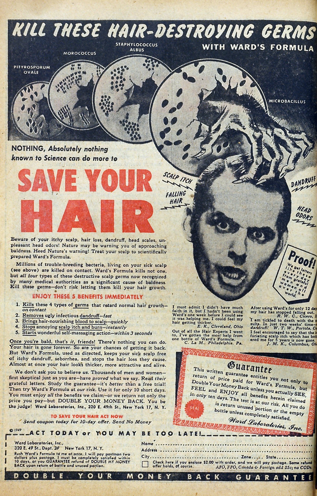 Read online Album of Love comic -  Issue # TPB - 34