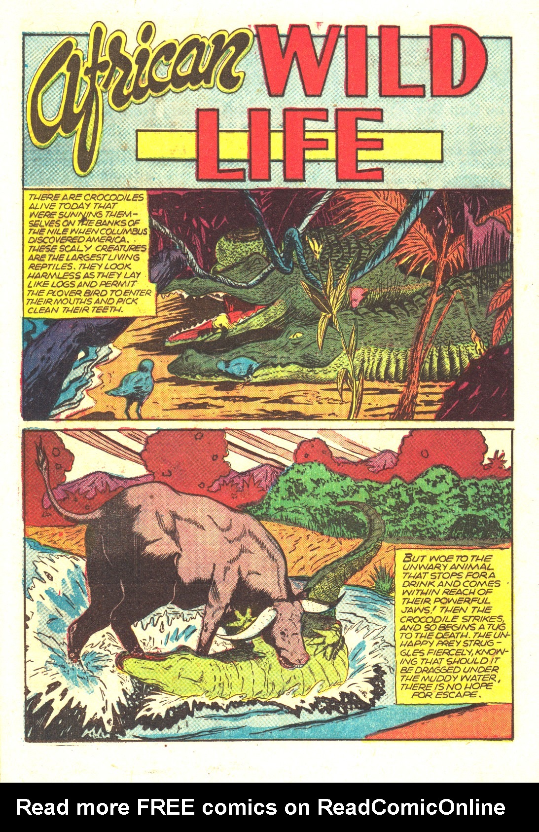 Read online Wambi Jungle Boy comic -  Issue #16 - 20