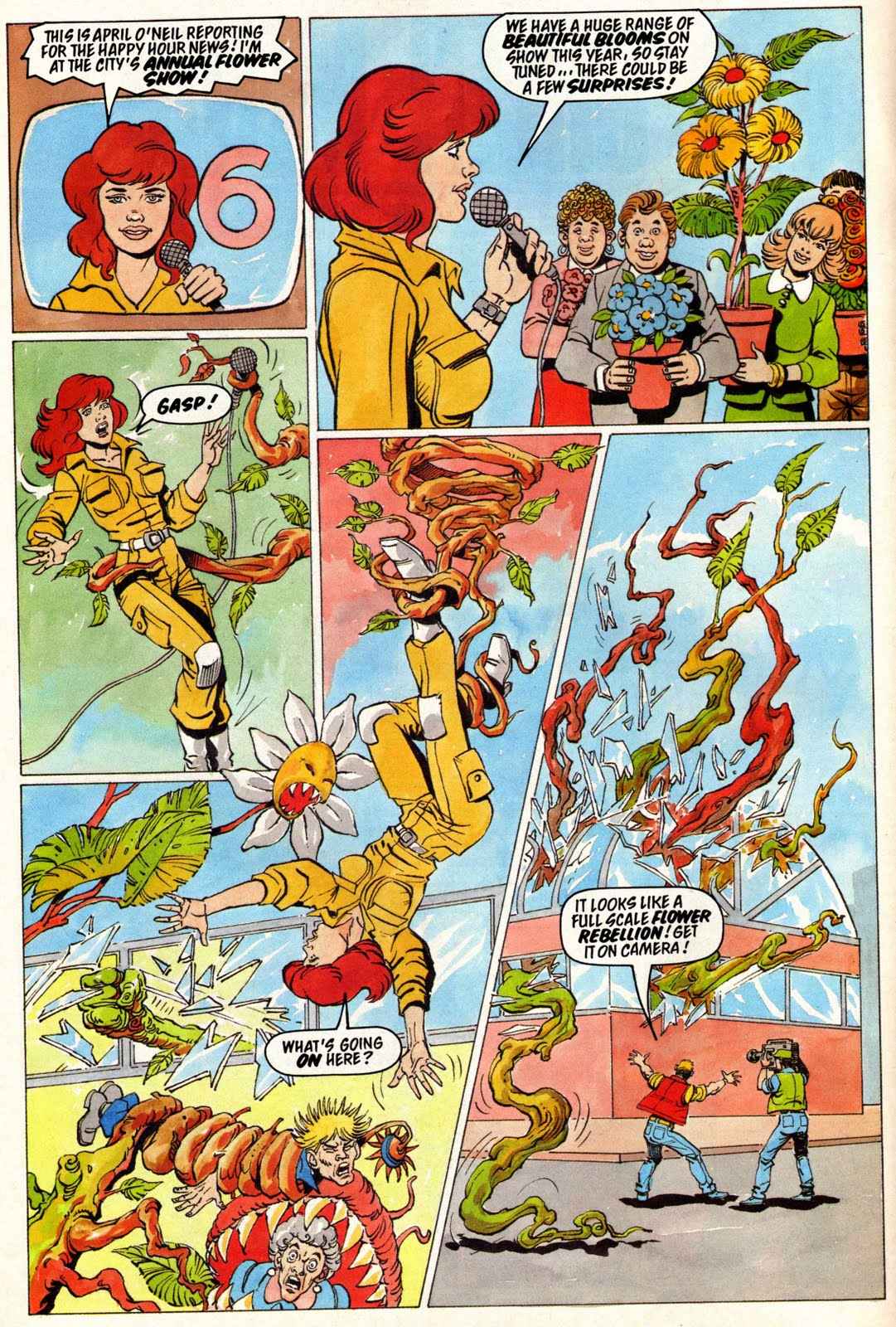 Teenage Mutant Hero Turtles Adventures issue 21 - Page 16