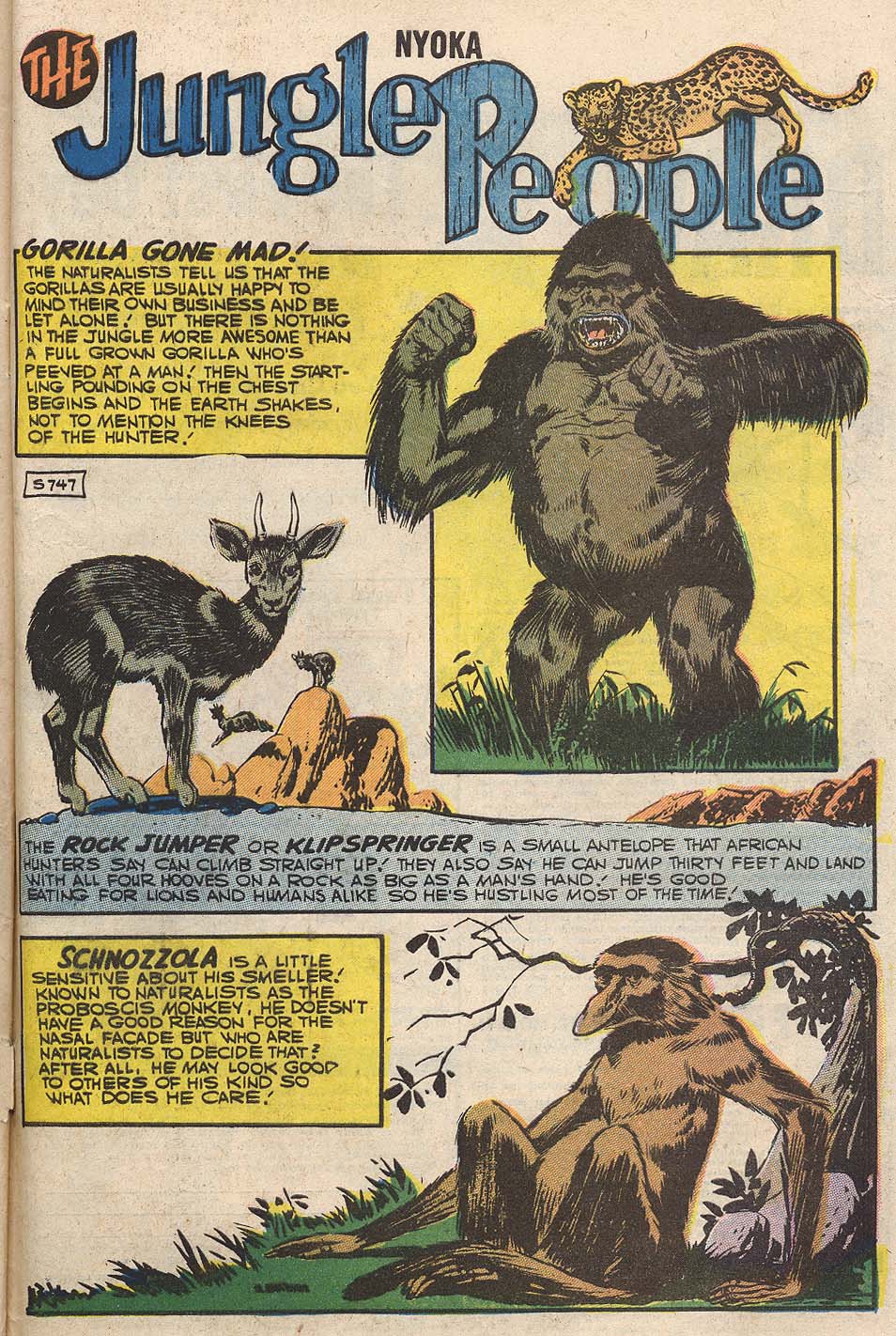 Read online Nyoka the Jungle Girl (1955) comic -  Issue #21 - 33