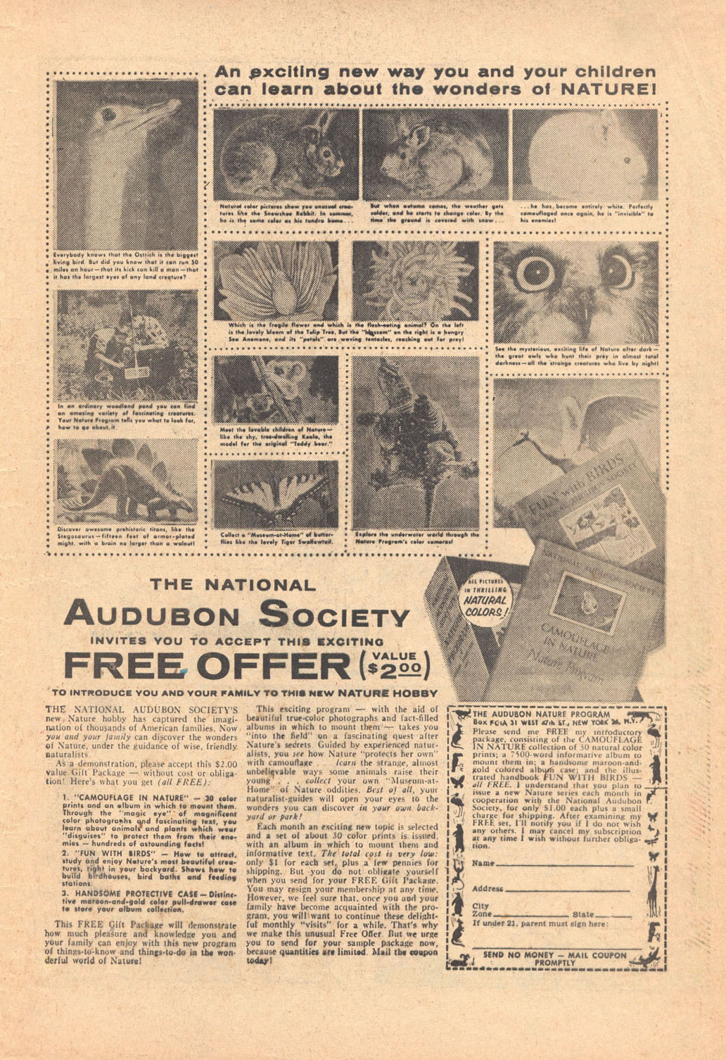 Read online Frisky Animals on Parade comic -  Issue #3 - 29