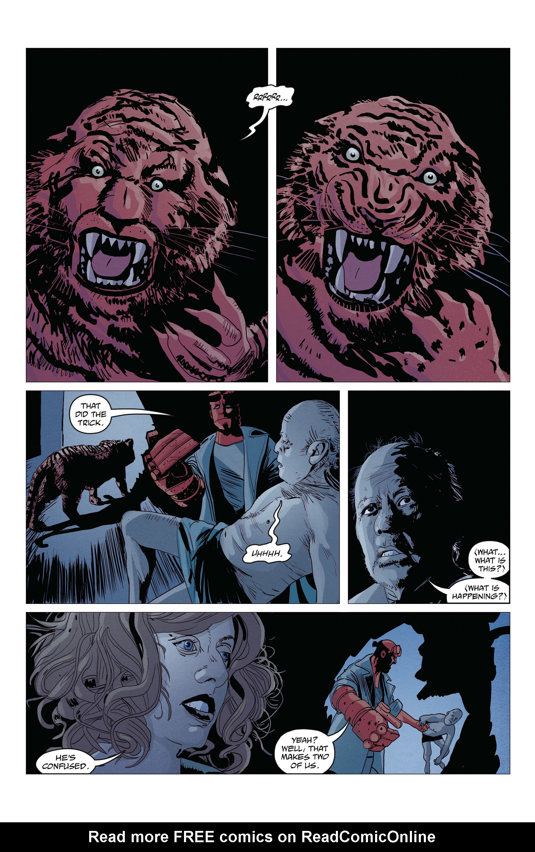 Read online Hellboy and the B.P.R.D.: 1957 - Fearful Symmetry comic -  Issue # Full - 22
