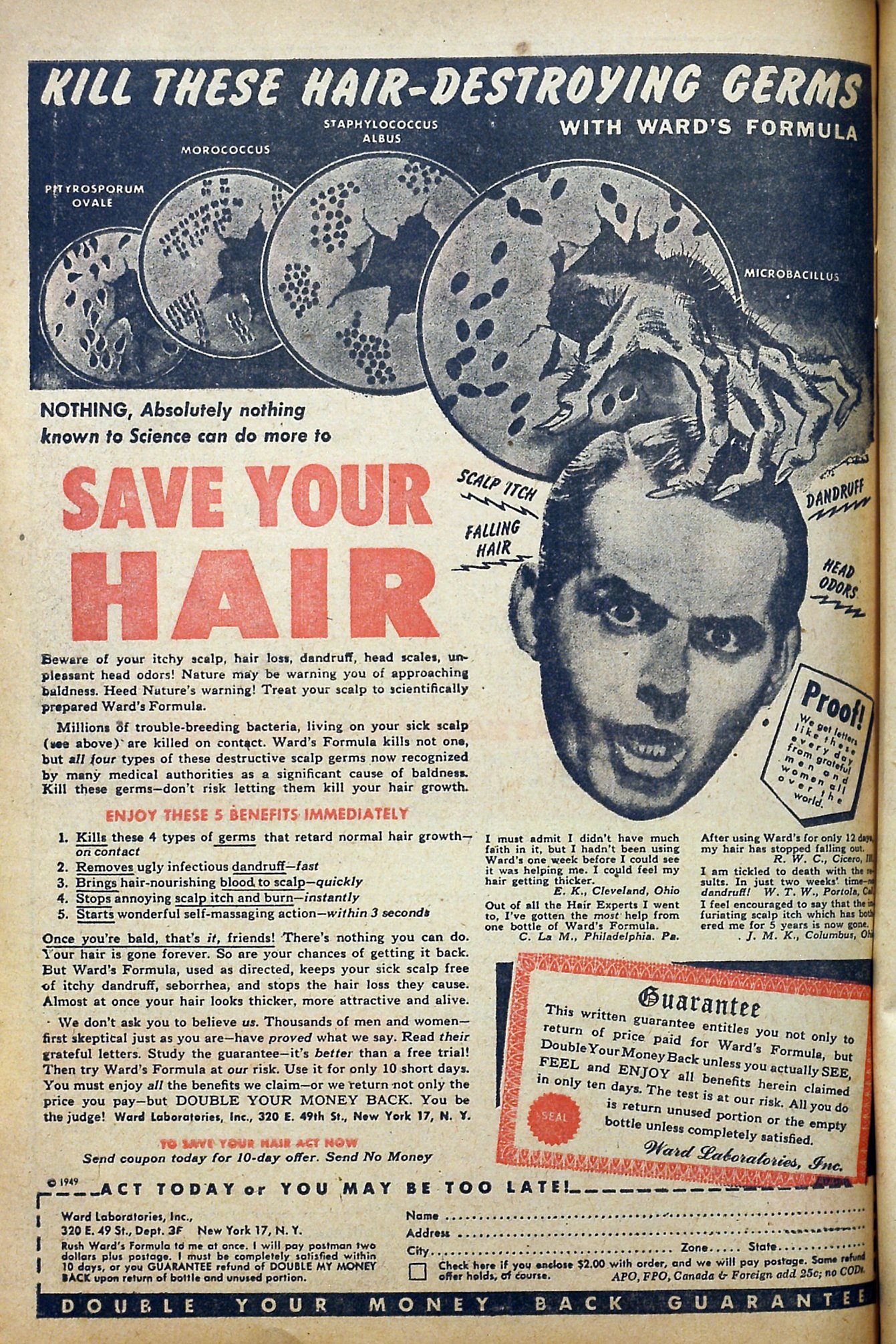 Read online Album of Love comic -  Issue # TPB - 98