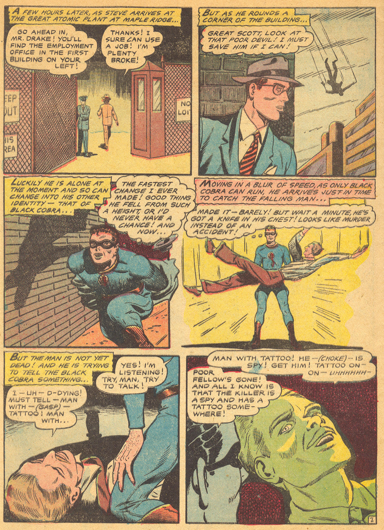 Read online Black Cobra comic -  Issue #2 - 29
