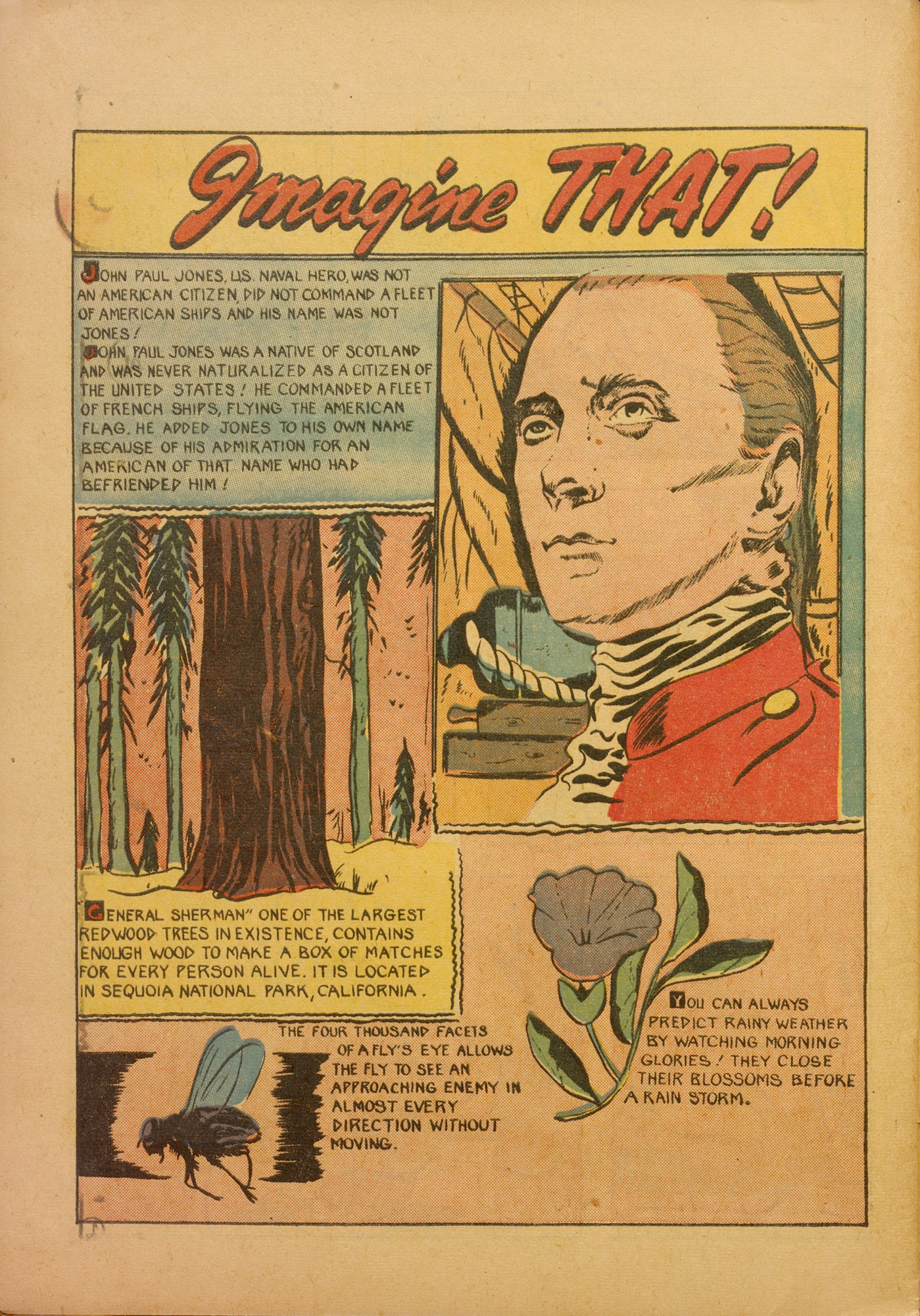 Read online Wotalife Comics comic -  Issue #12 - 28