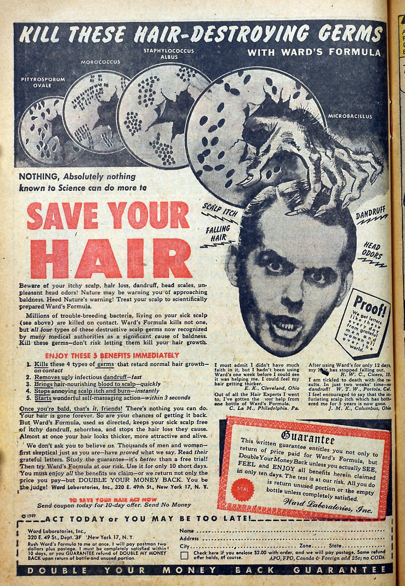 Read online Album of Love comic -  Issue # TPB - 66