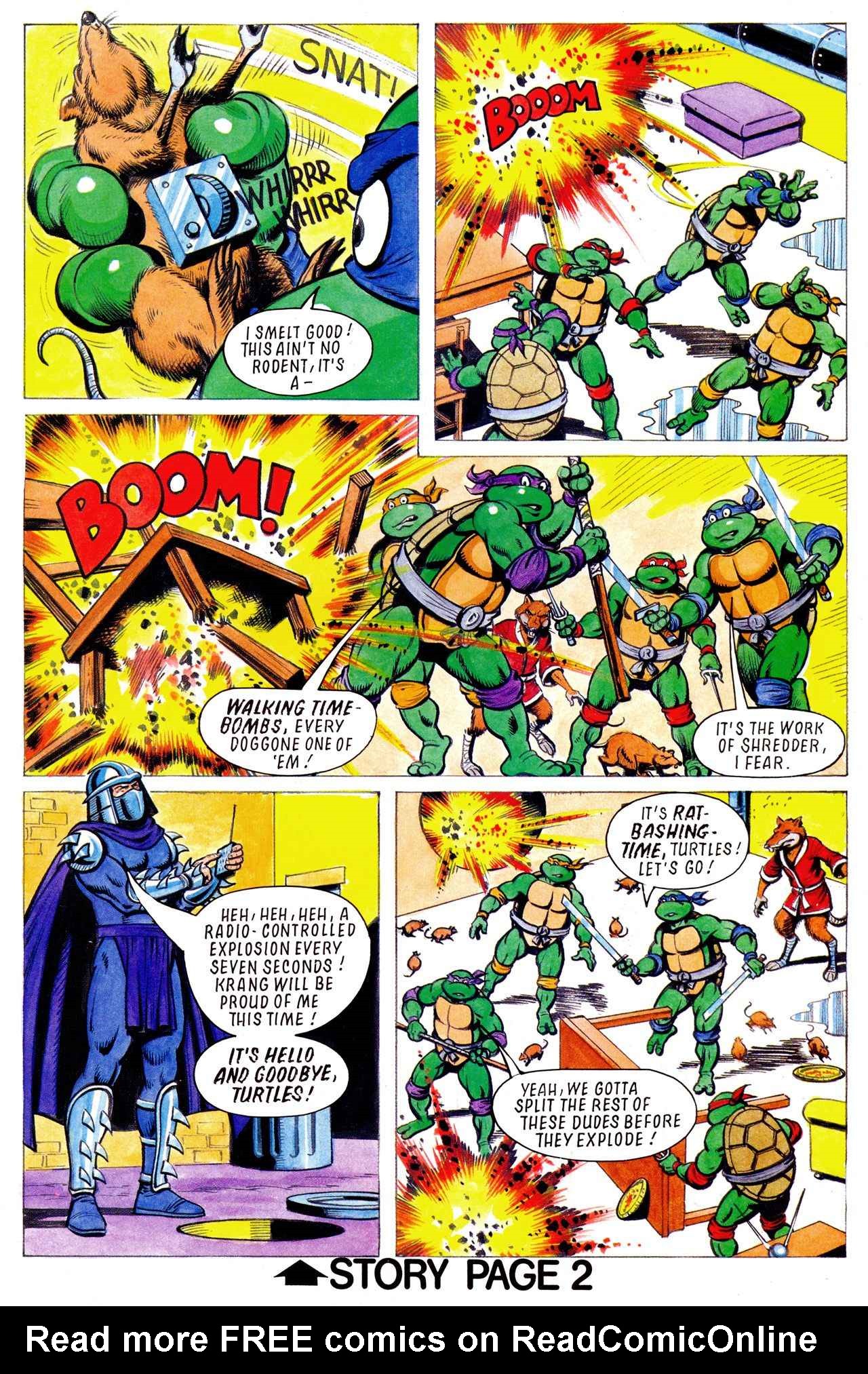 Read online Teenage Mutant Hero Turtles Adventures comic -  Issue #17 - 3