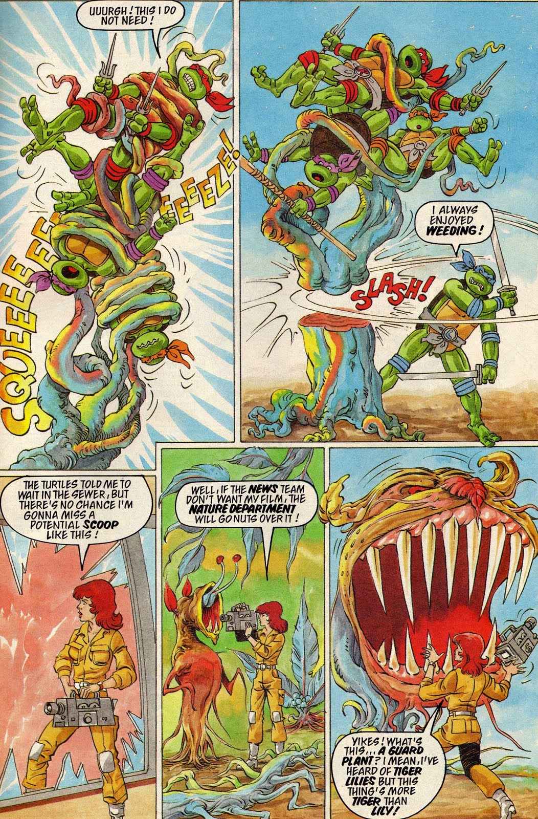 Read online Teenage Mutant Hero Turtles Adventures comic -  Issue #21 - 23