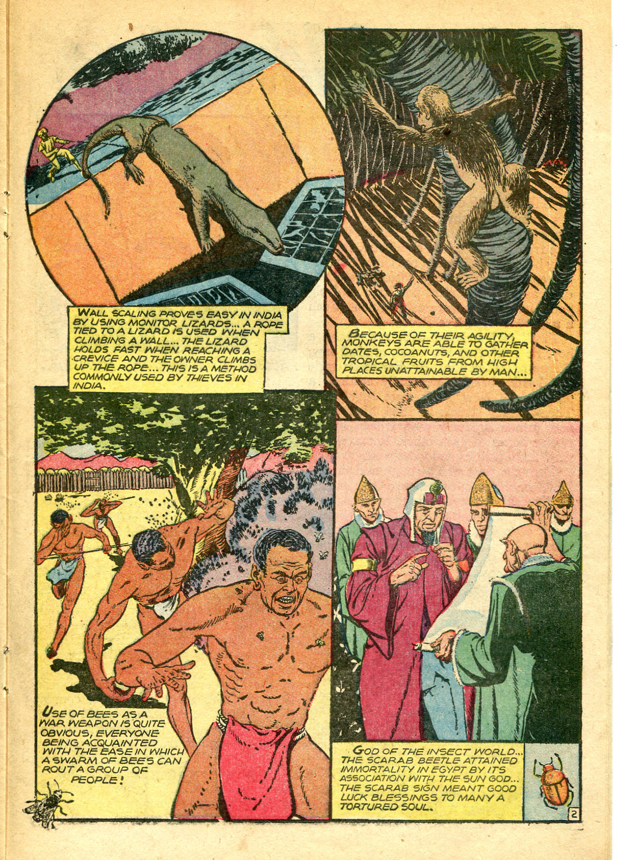Read online Kaänga Comics comic -  Issue #19 - 22