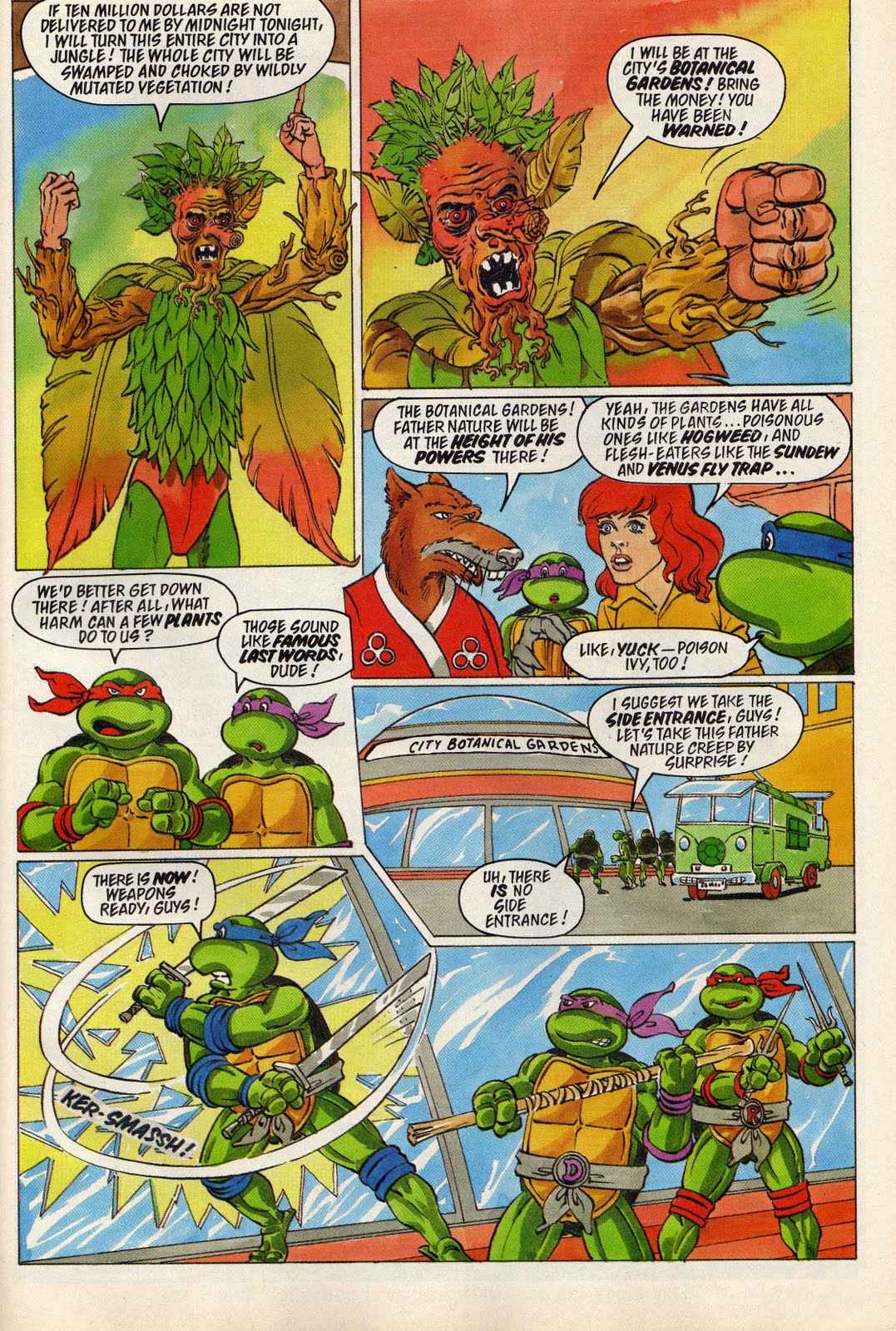 Read online Teenage Mutant Hero Turtles Adventures comic -  Issue #21 - 19