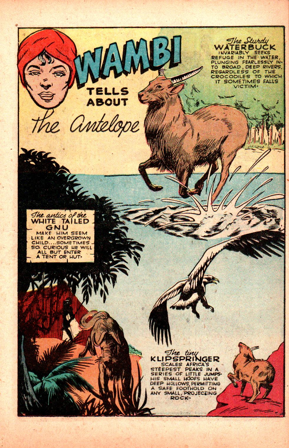 Read online Wambi Jungle Boy comic -  Issue #6 - 15